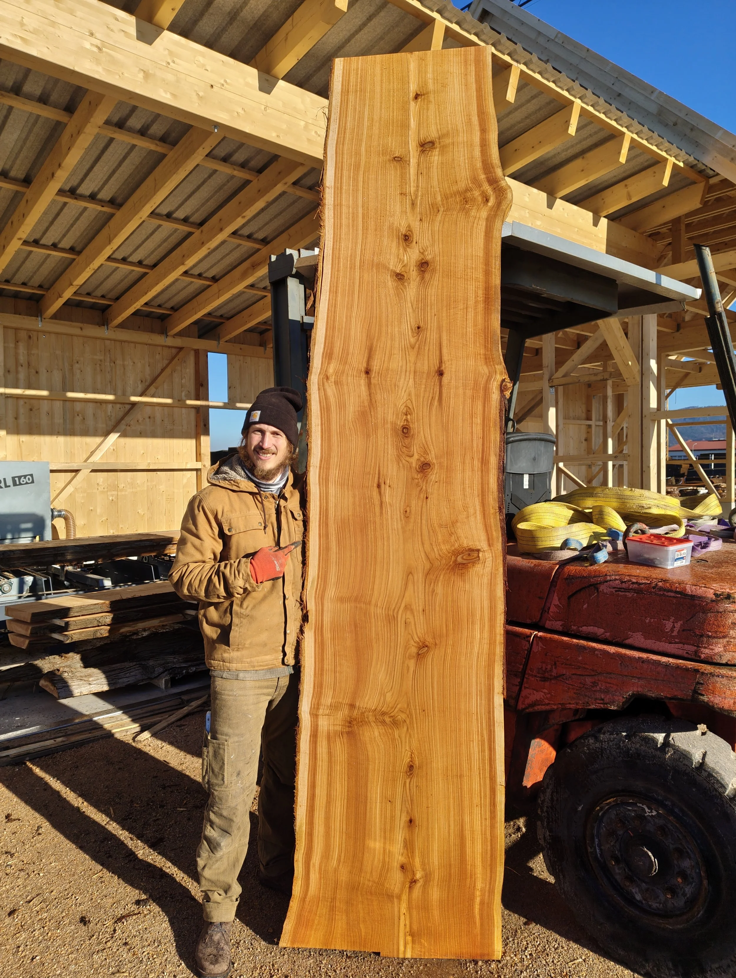 Sägewerk Wiener Neustadt, Holzpfosten, Thuja, Linde Stapler
