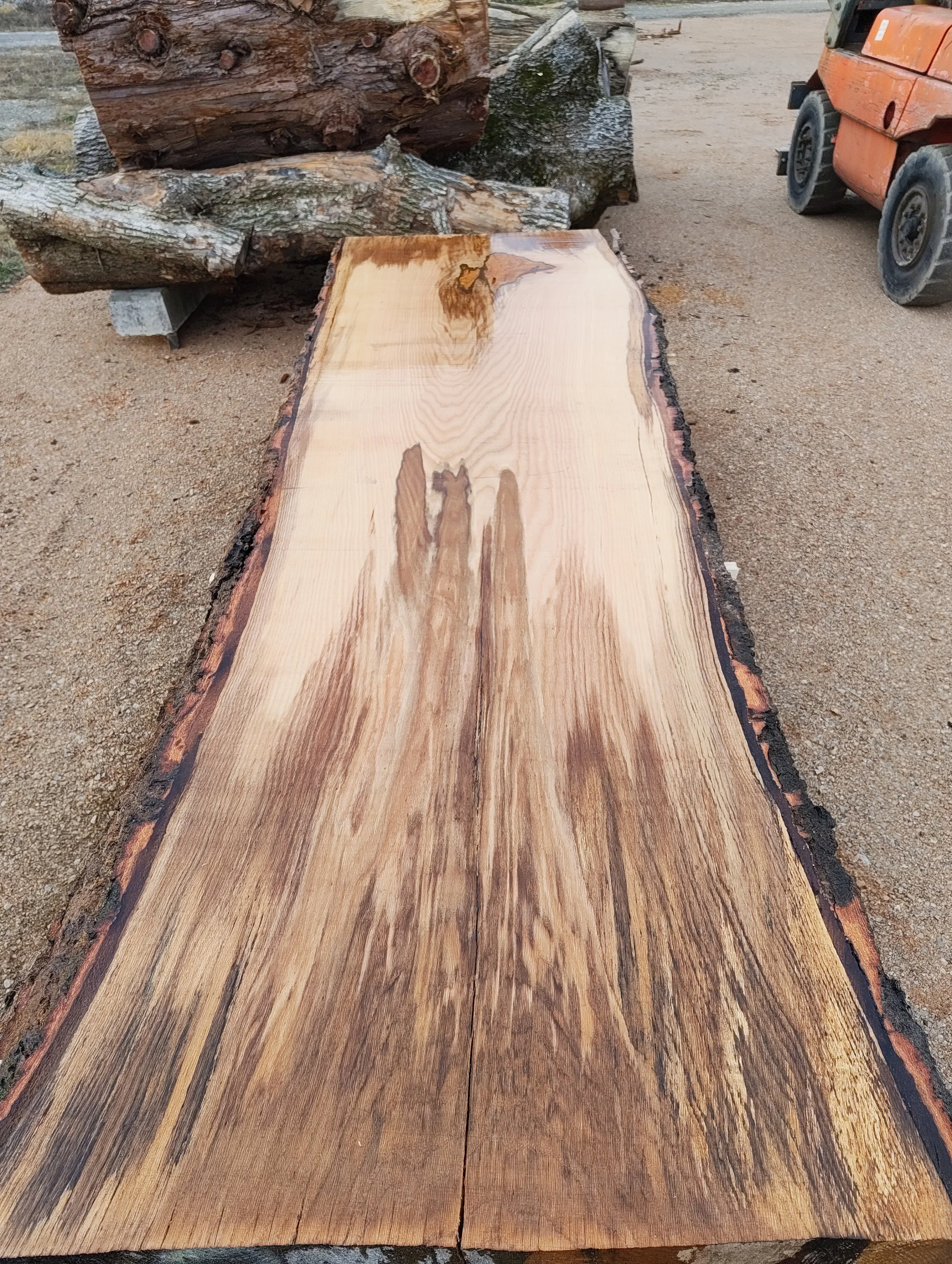 Einbaumtischplatte, Zerreiche, Tischplatte, Holzplatte