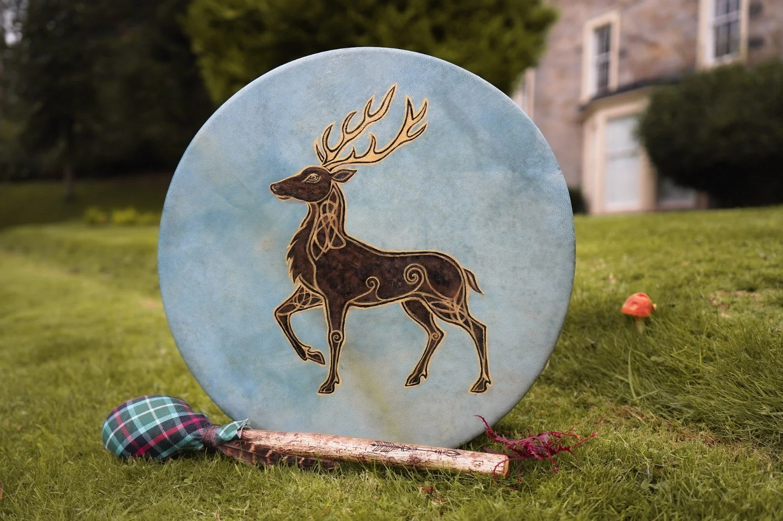 WhatsApp Image 2025-10-17 at 18.12.18.jpeg