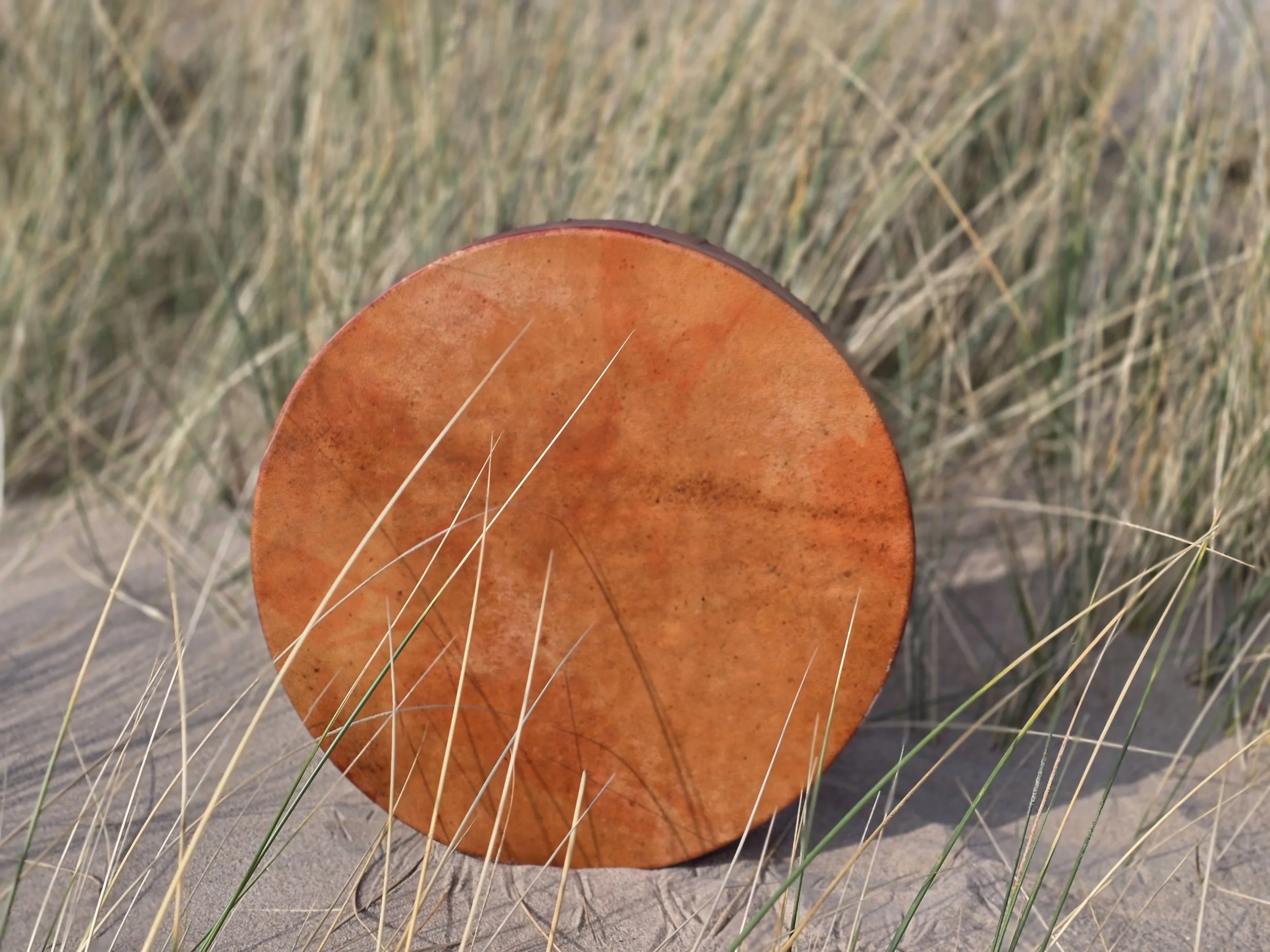 WhatsApp Image 2025-03-22 at 20.06.52.jpeg