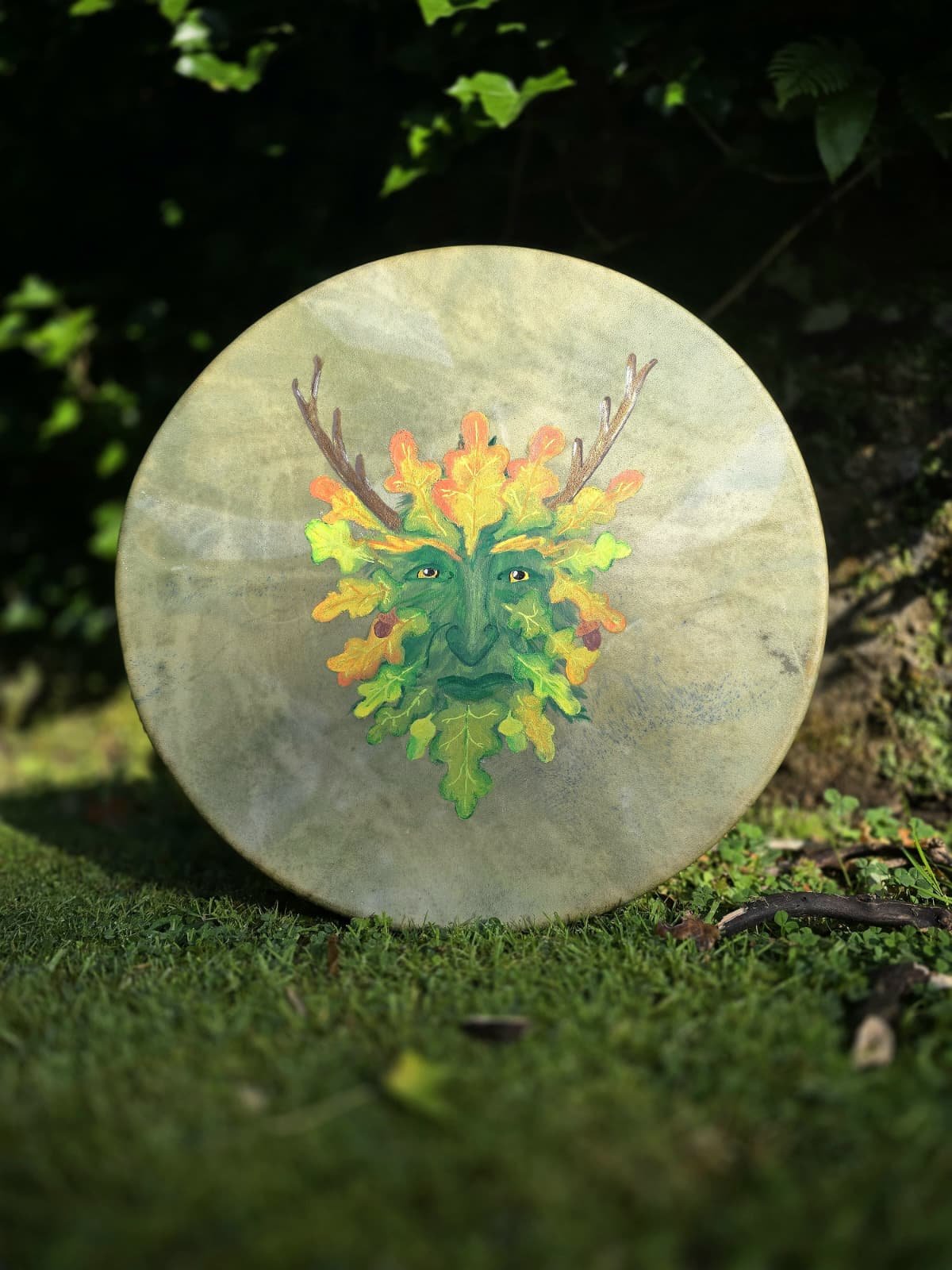 WhatsApp Image 2026-02-01 at 11.05.35 (1).jpeg