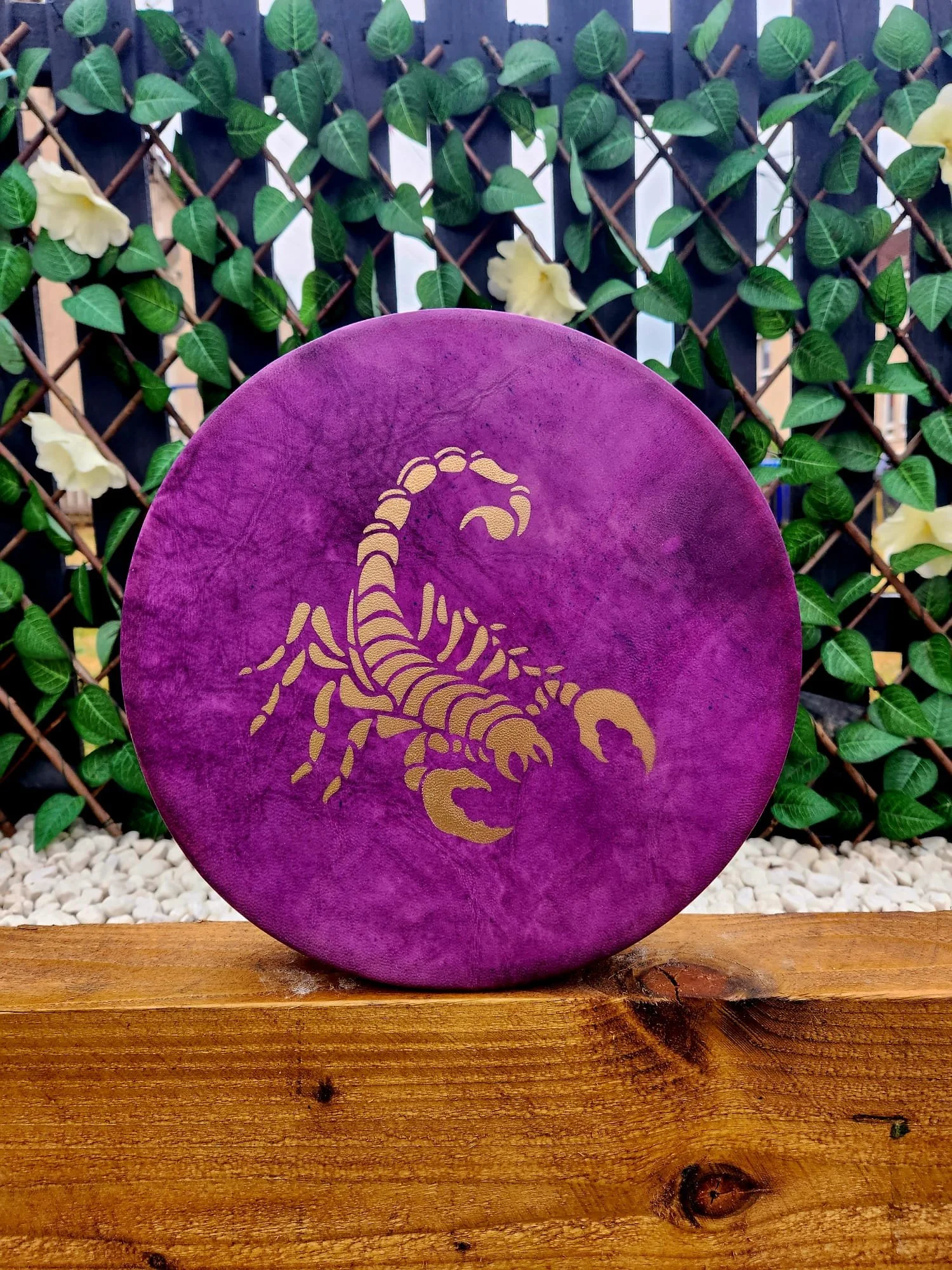 WhatsApp Image 2024-08-18 at 12.42.24.jpeg