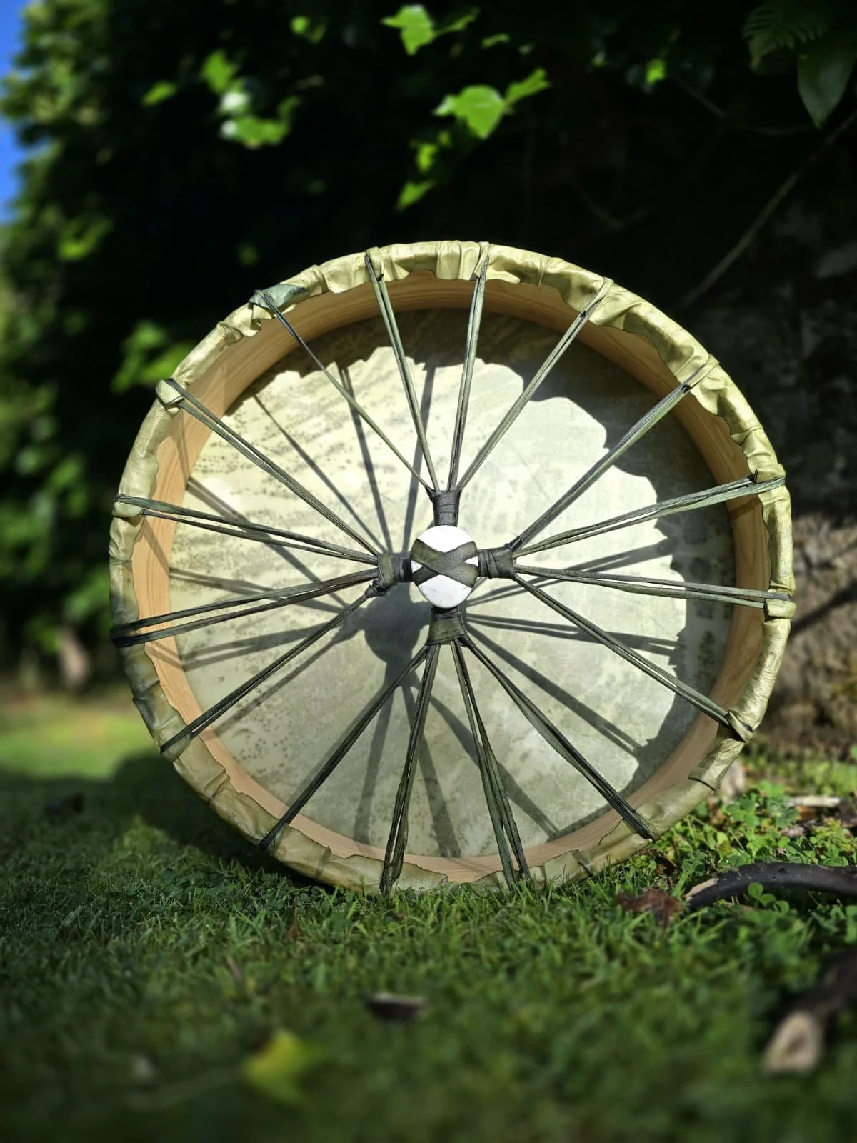 WhatsApp Image 2026-02-01 at 11.05.38.jpeg