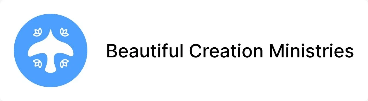 Beautiful Creation Ministries