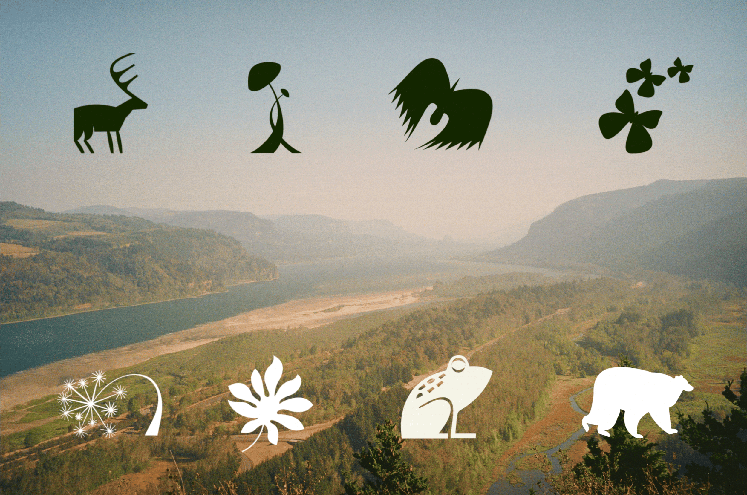 Illo motion examples (1) (1).gif