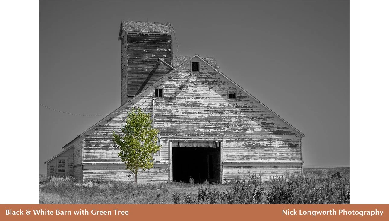 barn-with-green-tree.jpg