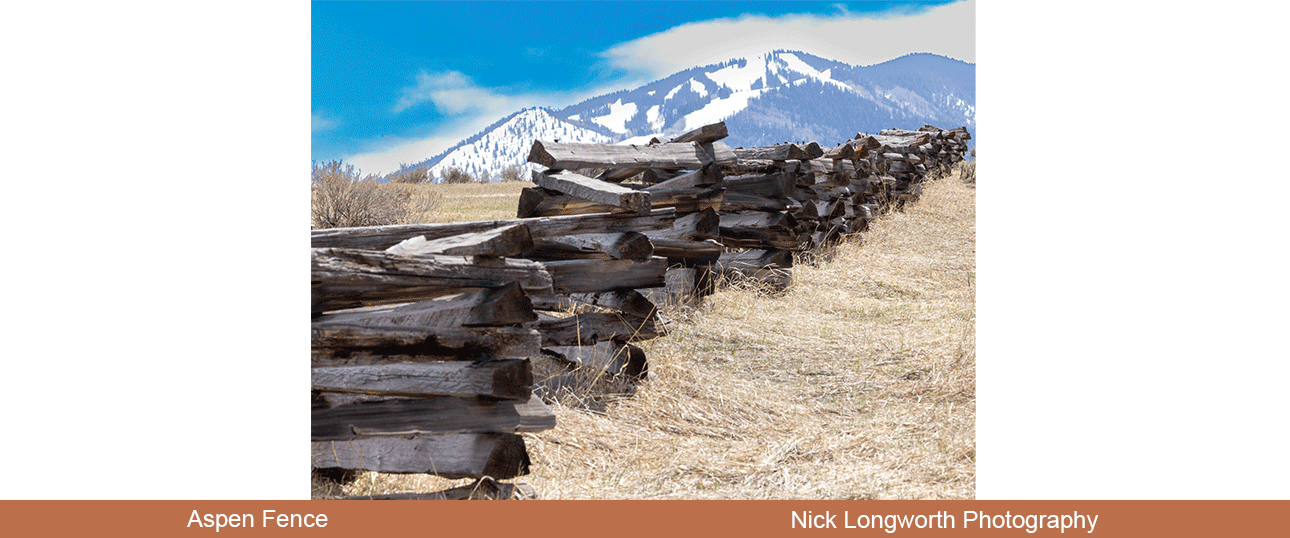 aspen-fence.png