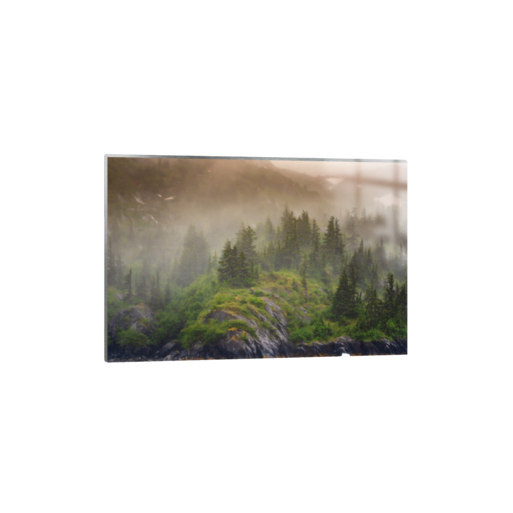 ptq_13_3_0_5_12032_8021_0_false_ffffff_0_0_.png