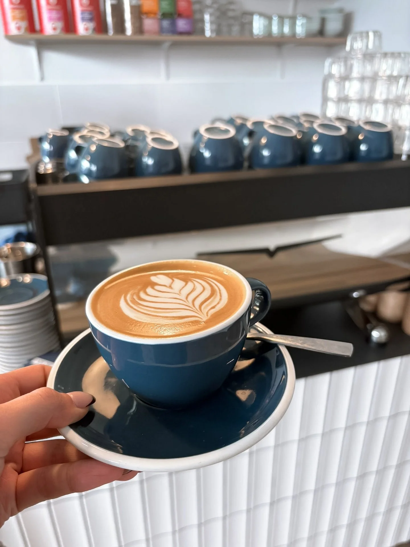 First days of October🍂☀️ Wir lieben Pumpkin Spice, cozy coffee dates und die Wochenenden mit euch☕️ 

Kommt vorbei💛

#HerbstVibes #PumpkinSpiceLatte #SpecialtyCoffee #CoffeeLovers #Kaffeepause #Caf&eacute;Liebe #coffee #Unterbilk #flingern