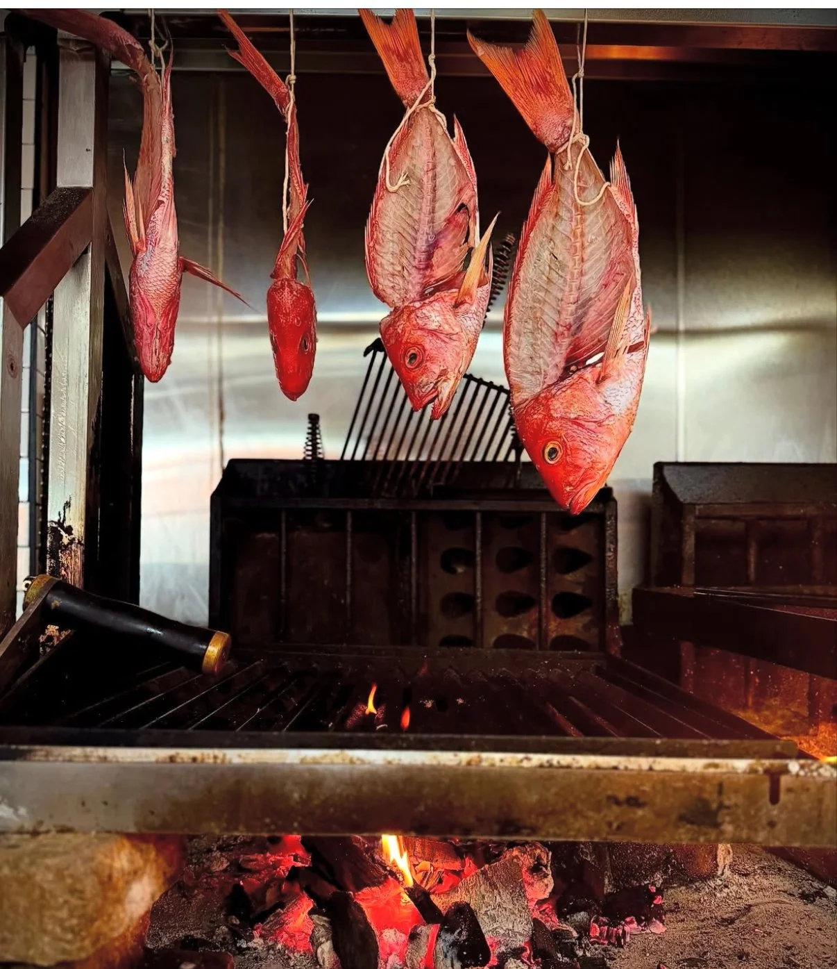 Slow smoked snapper bodies over oak charcoal for a vichyssoise at @emberandoaksteakhouse 🔥🔥
We love to see everyone that our solid fuel family cooks up all over the world.

For inquiries, please DM, email or reach out to your local @themontaguecomp