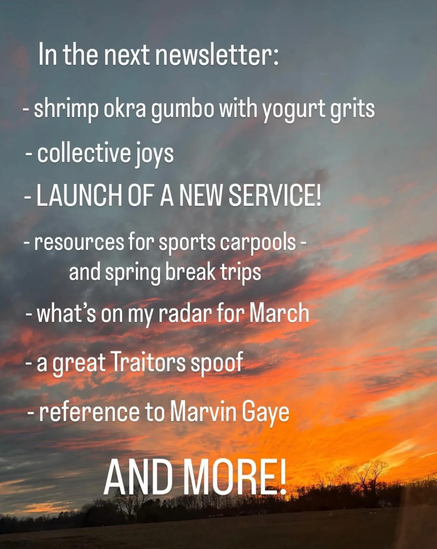 All this and so much more! Don&rsquo;t miss out. Go to our website (laurakassner.com) and click on &ldquo;newsletter&rdquo; to subscribe. Just one email a month from your Life Wife to help you plan, offer support, and make you smile. #newsletter #lau