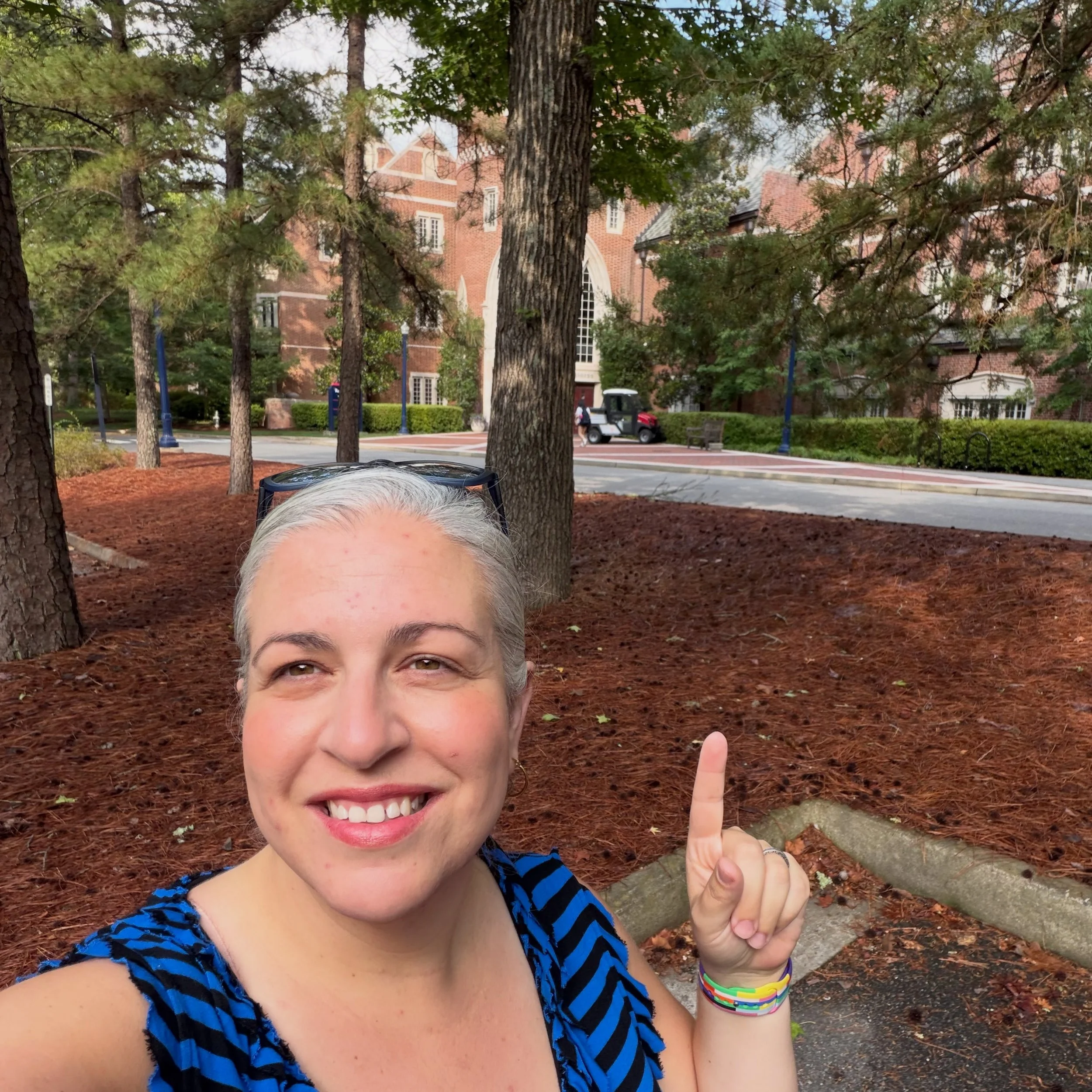 Huge thanks to the Western Henrico Rotary Club for hosting me at the @urichmond campus (Go Spiders!) to share about #mentalload and how my business can support folks carrying too much. Impressed with the great community-focused work they do - and the