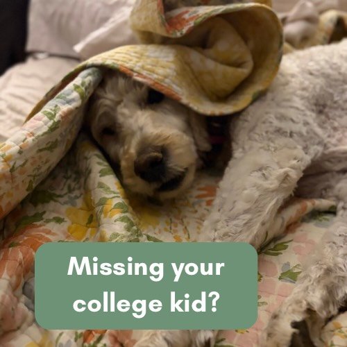 Want to put that college kid right back in preschool? I wish I had that magic wand, but I do have a way to show care and support in a way that means no work for you! I&rsquo;m accepting orders for care packages now until September 20 so your sweet bi
