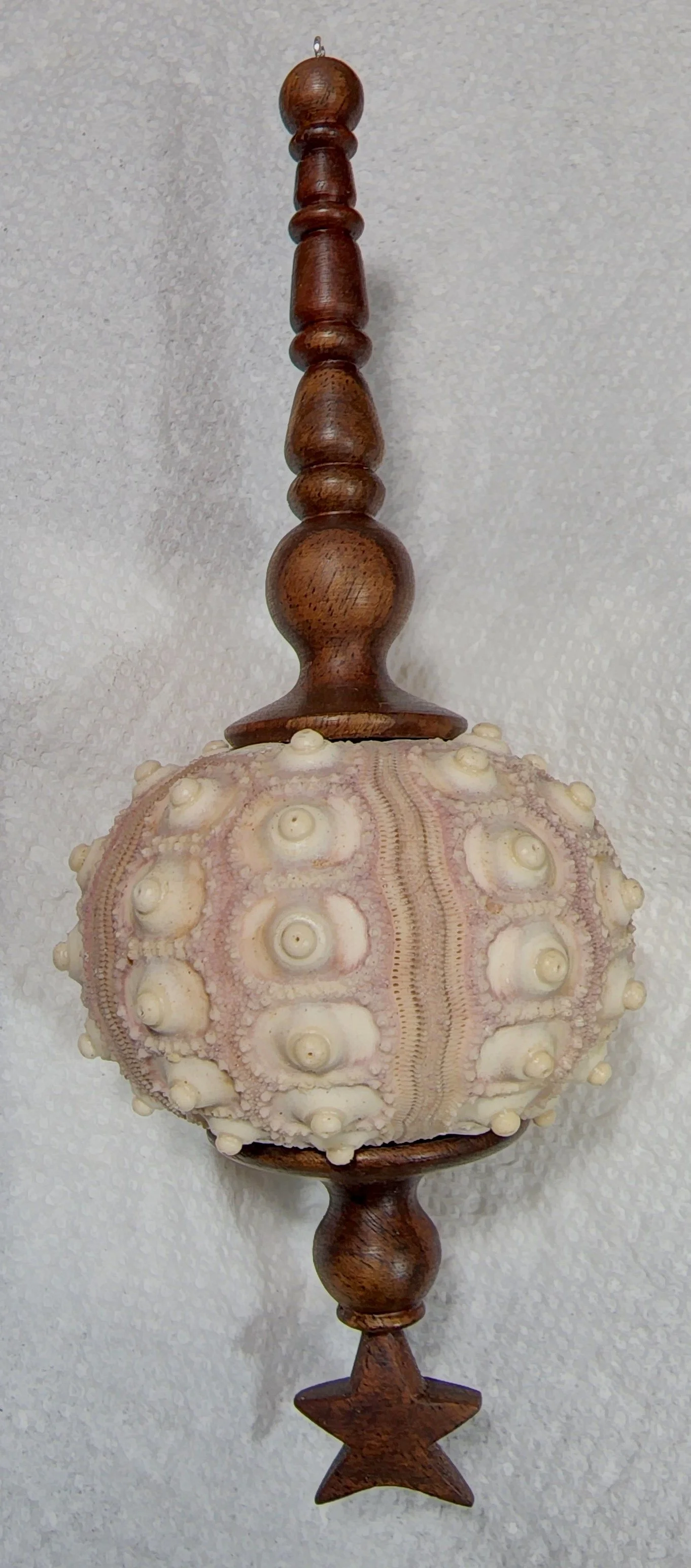 2022_Walnut and Sea Urchin ornament.jpg