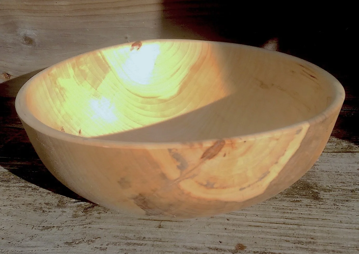8 x 2.5 in spalted Poplar bowl.jpg