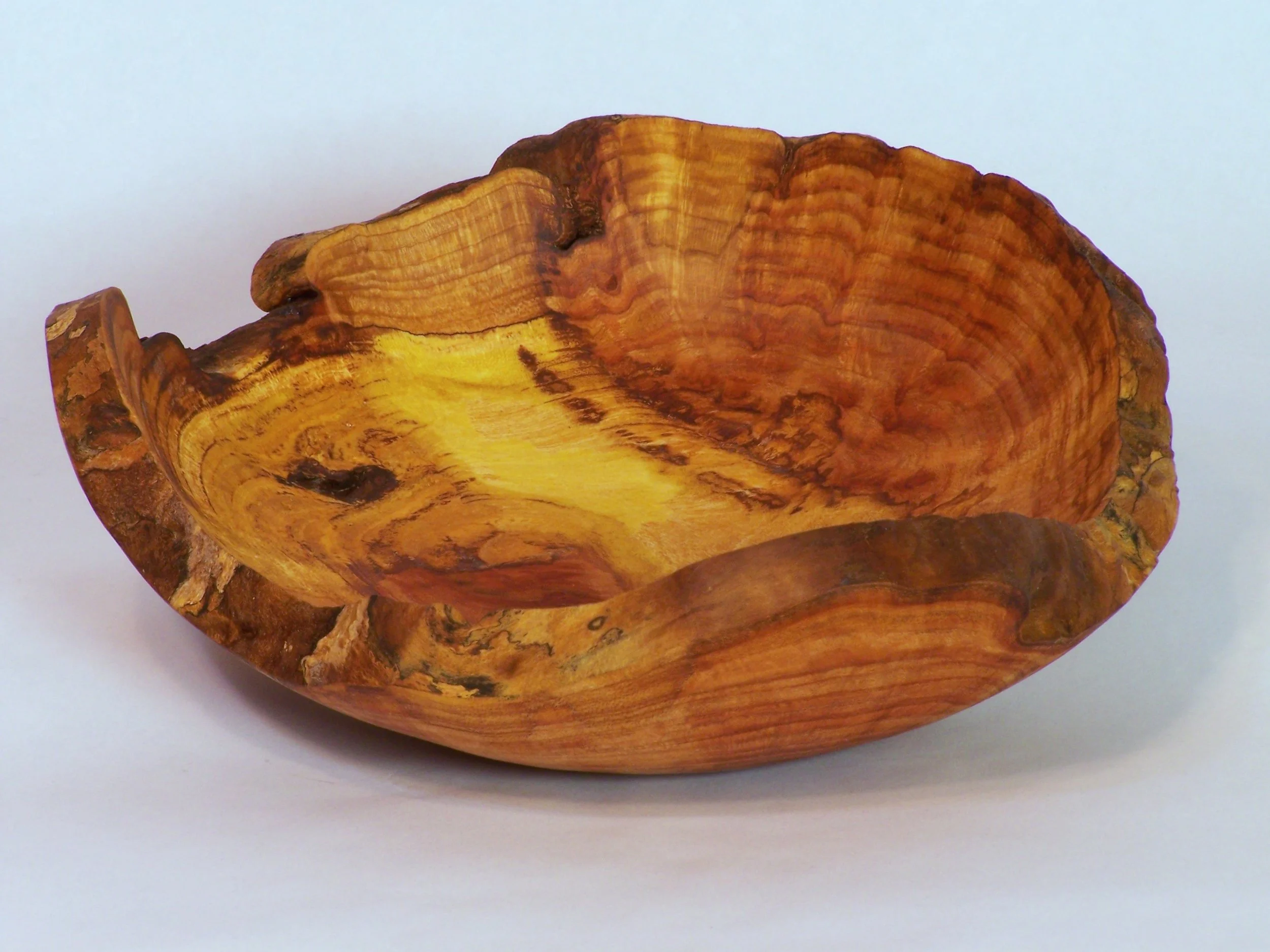 11.5 in Maple burl shallow bowl.JPG