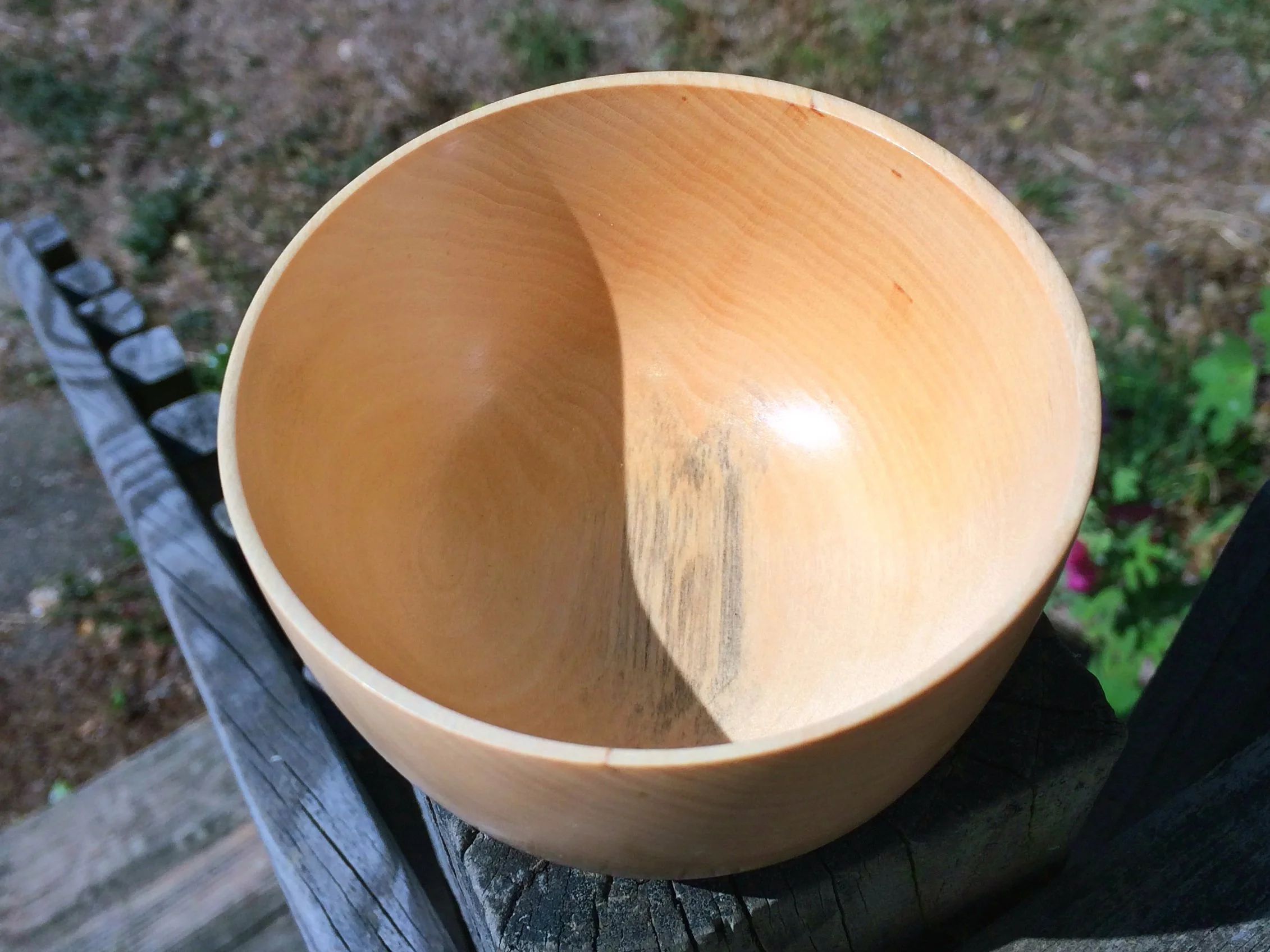4 in Basswood Tea Cup_top.jpg