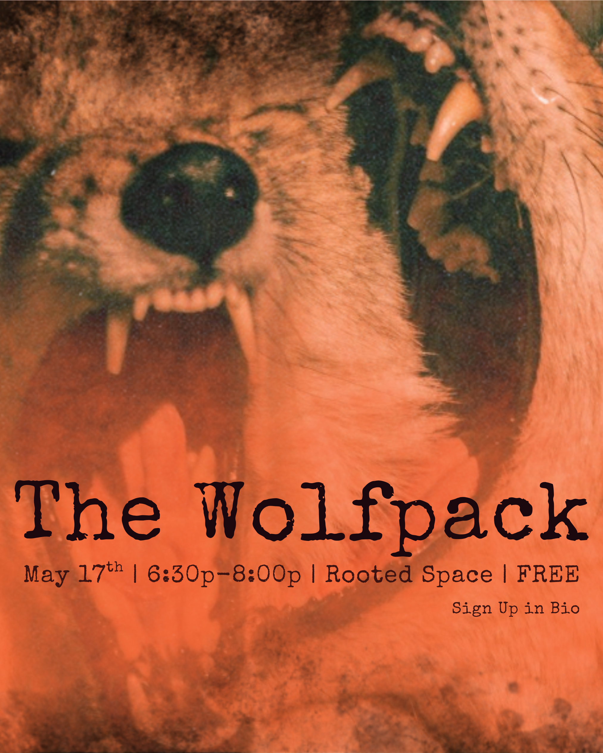 The Wolfpack: The Mountain
