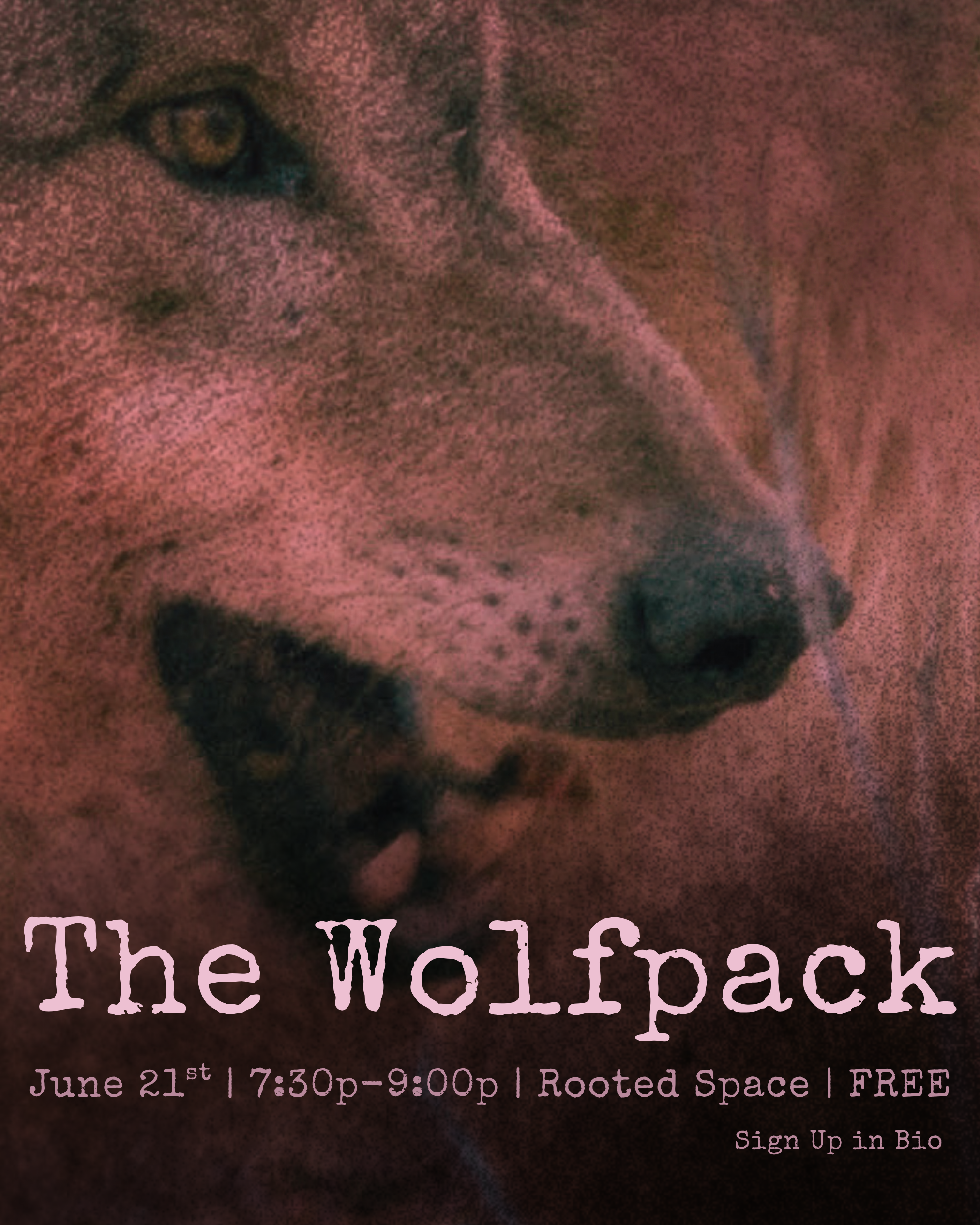 The Wolfpack: The River