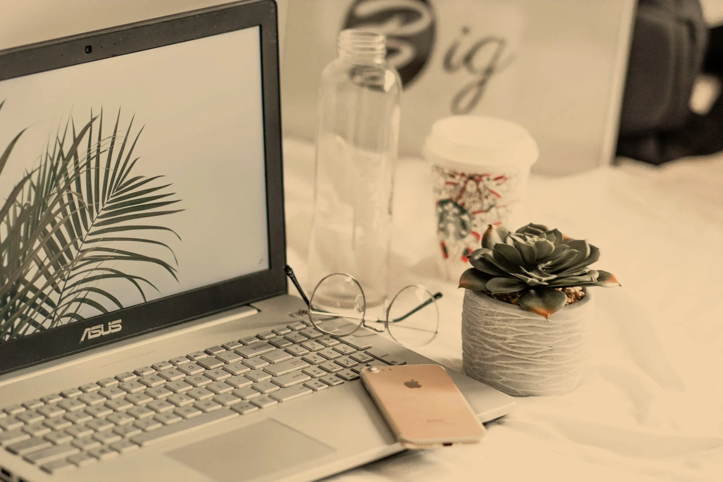 A workspace with an Asus laptop displaying a palm leaf on the screen, rose gold iPhone, eyeglasses, a small potted succulent, a jar with a Christmas-themed label, a plastic water bottle, and a white box in the background.