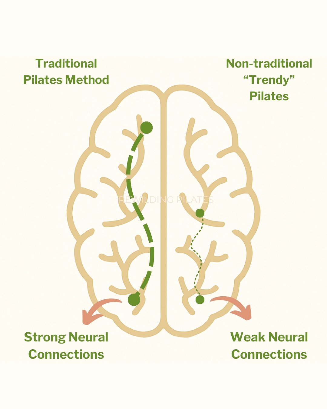Pilates is a Method - Not a Playlist
Random exercises don&rsquo;t rewire your brain.
The Method does. 

#pilates #sandiegopilates #lamesapilates #pilateswisdom #pilatesmethod #traditionalpilates #classicalpilates #contrology #alchemy #pilatesalchemy