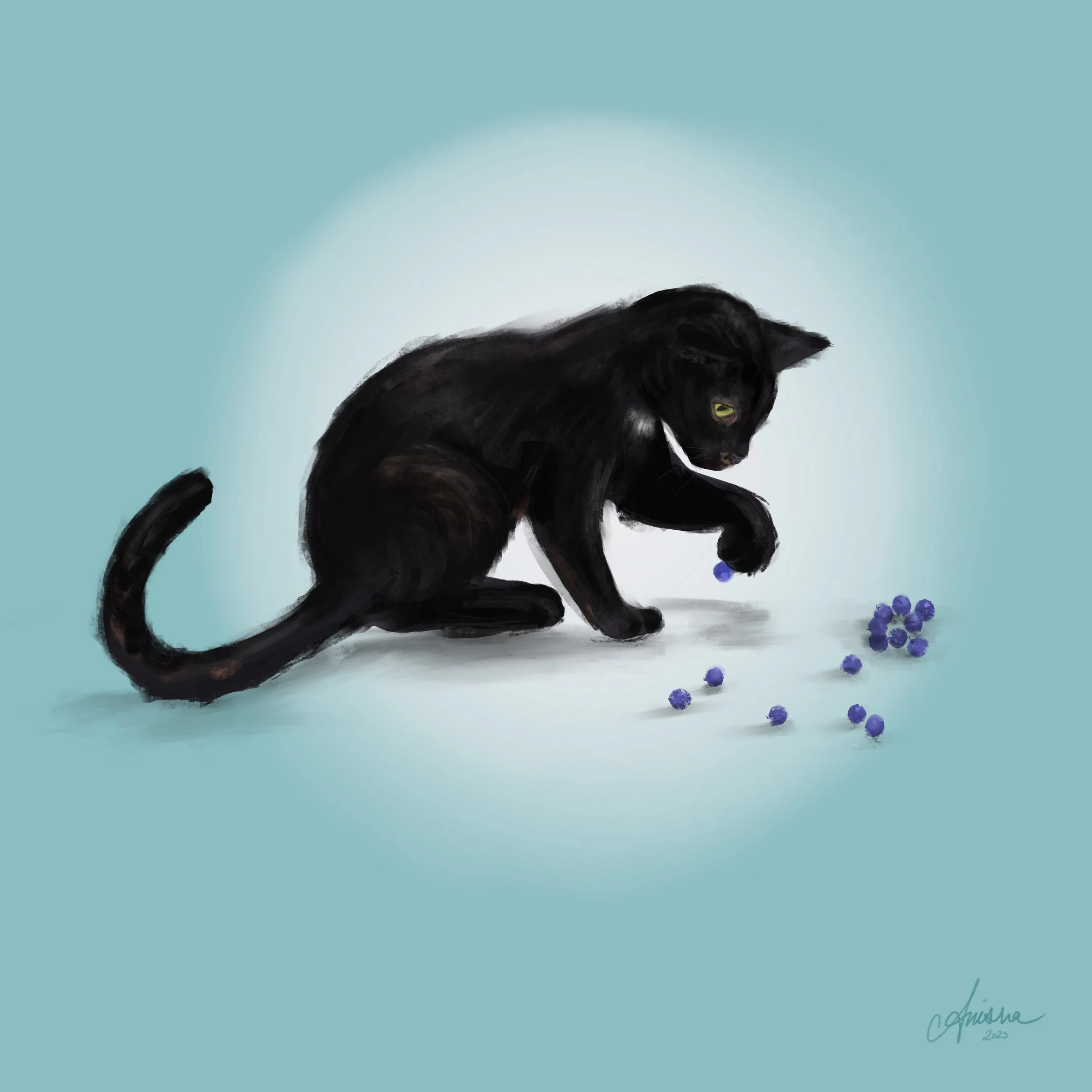 Illustration and Custom Work