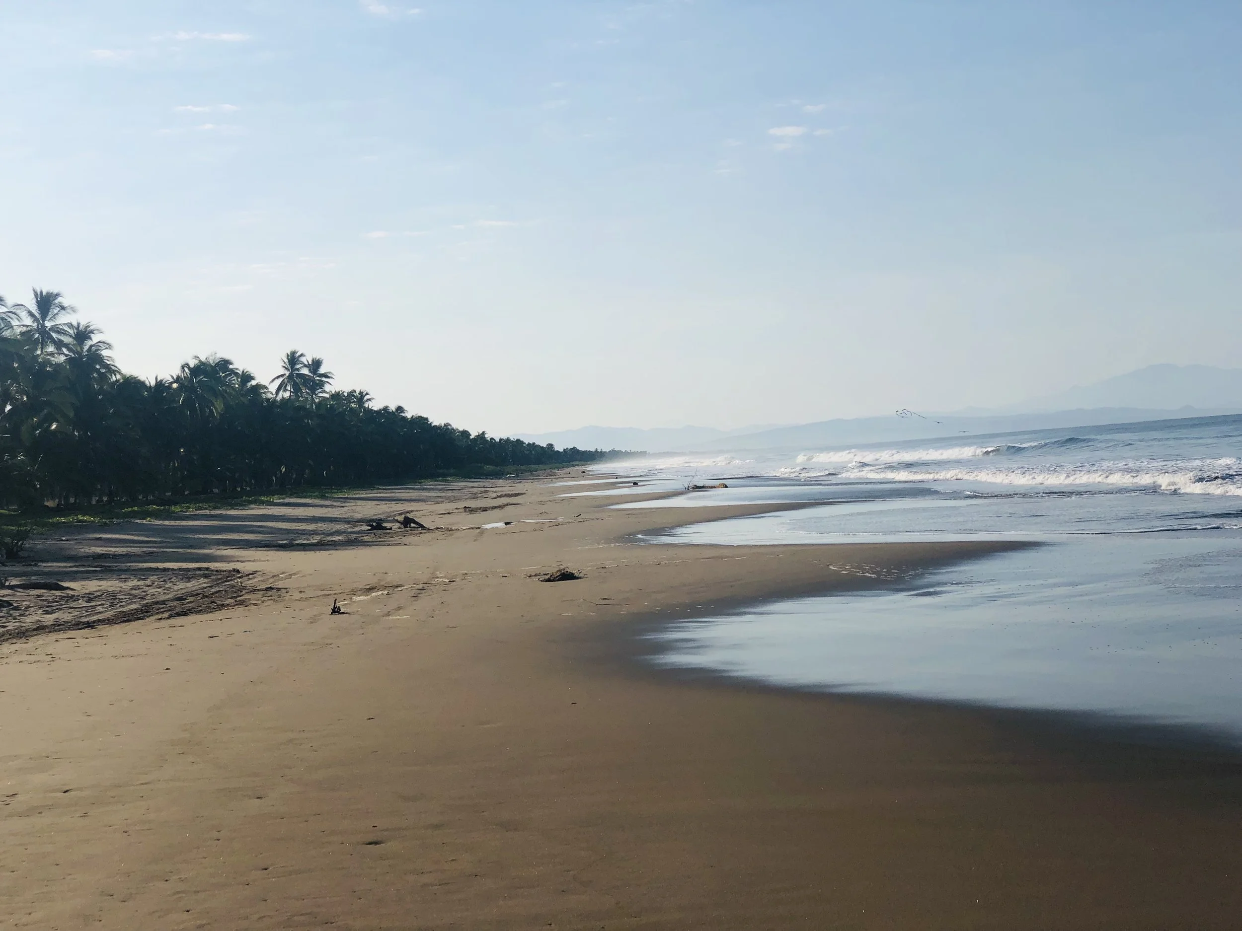 Punta Mita &amp; Playa Las Tortugas: Two Different Luxury Worlds