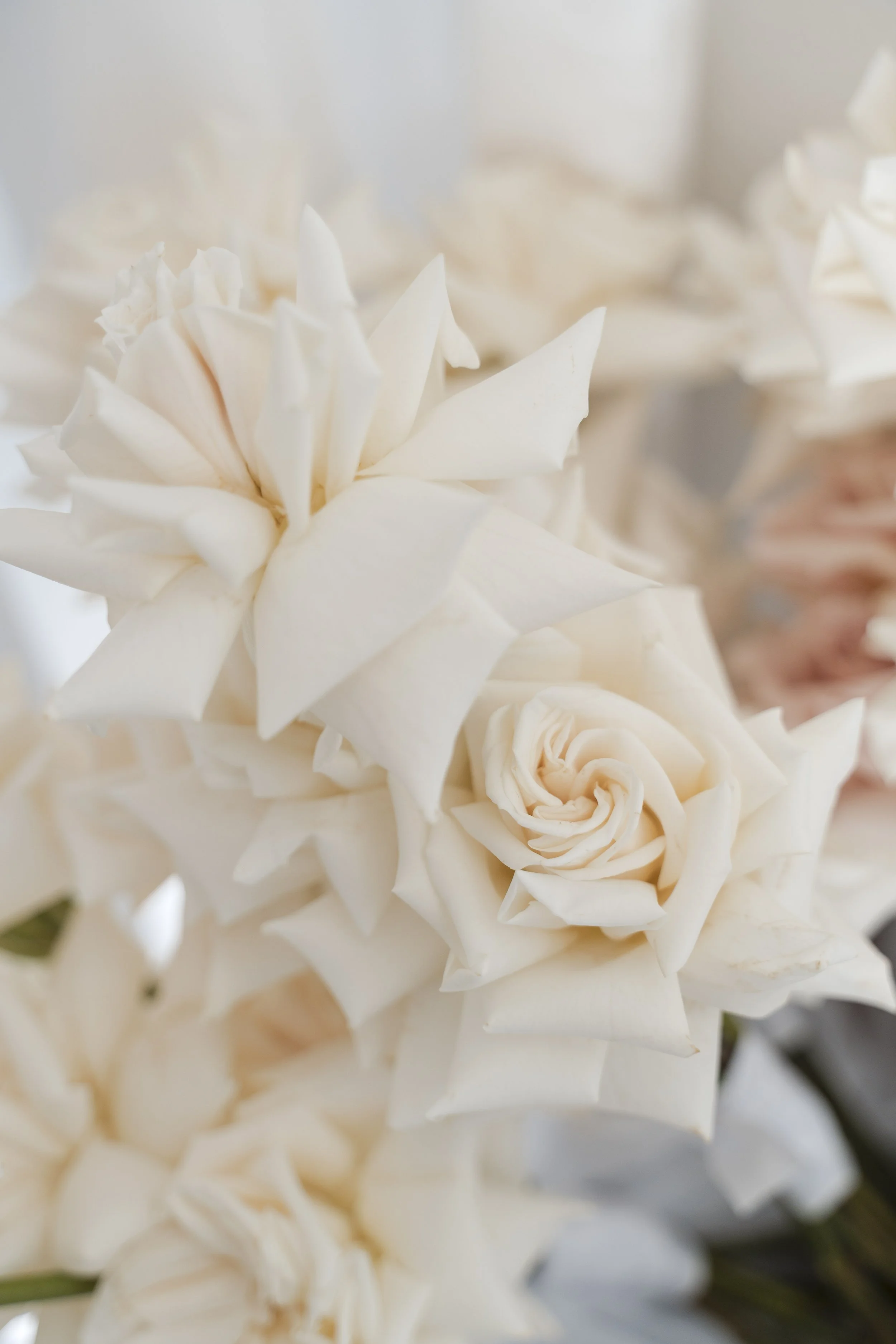 Sally+Drew-72.jpg