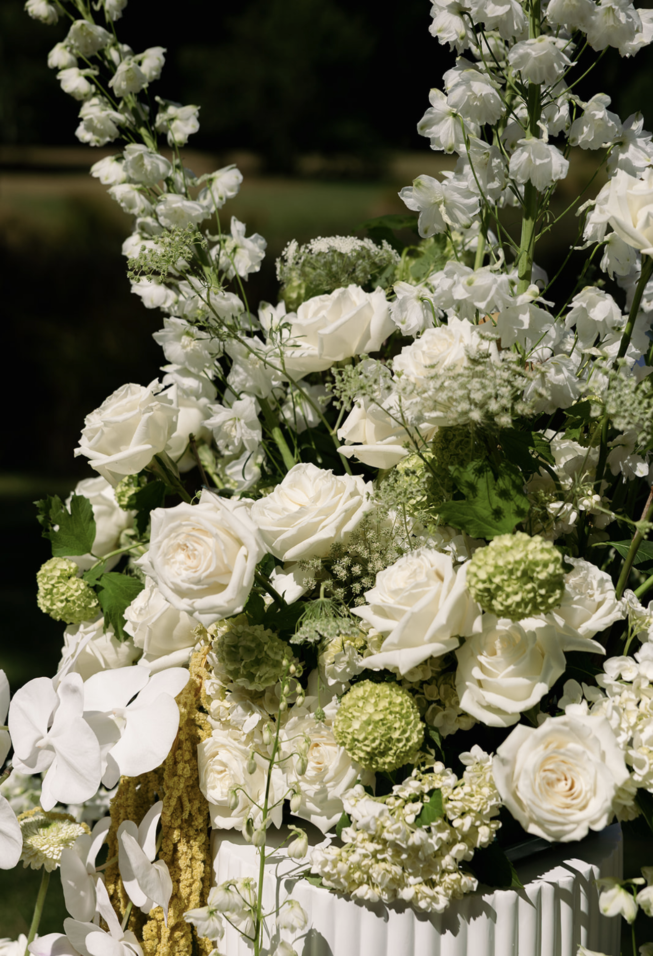 Screenshot 2026-01-03 at 5.58.27 pm.png