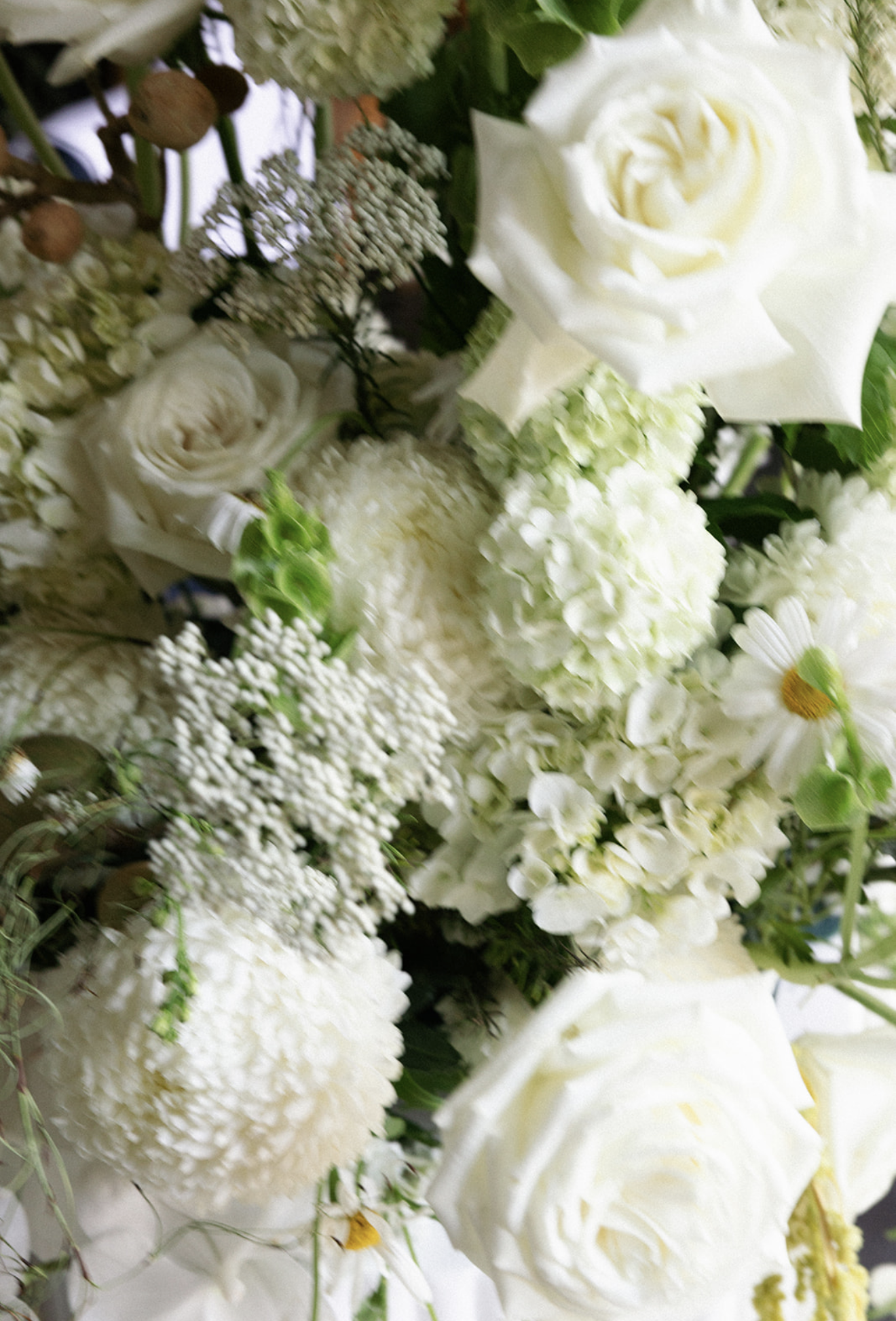 Screenshot 2026-01-03 at 6.04.55 pm.png