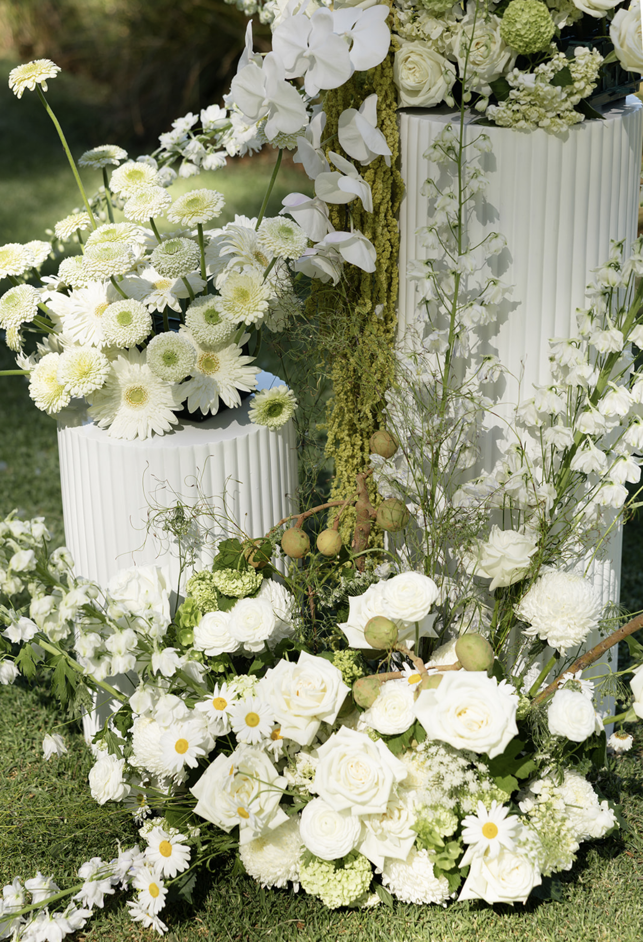 Screenshot 2026-01-03 at 5.59.56 pm.png