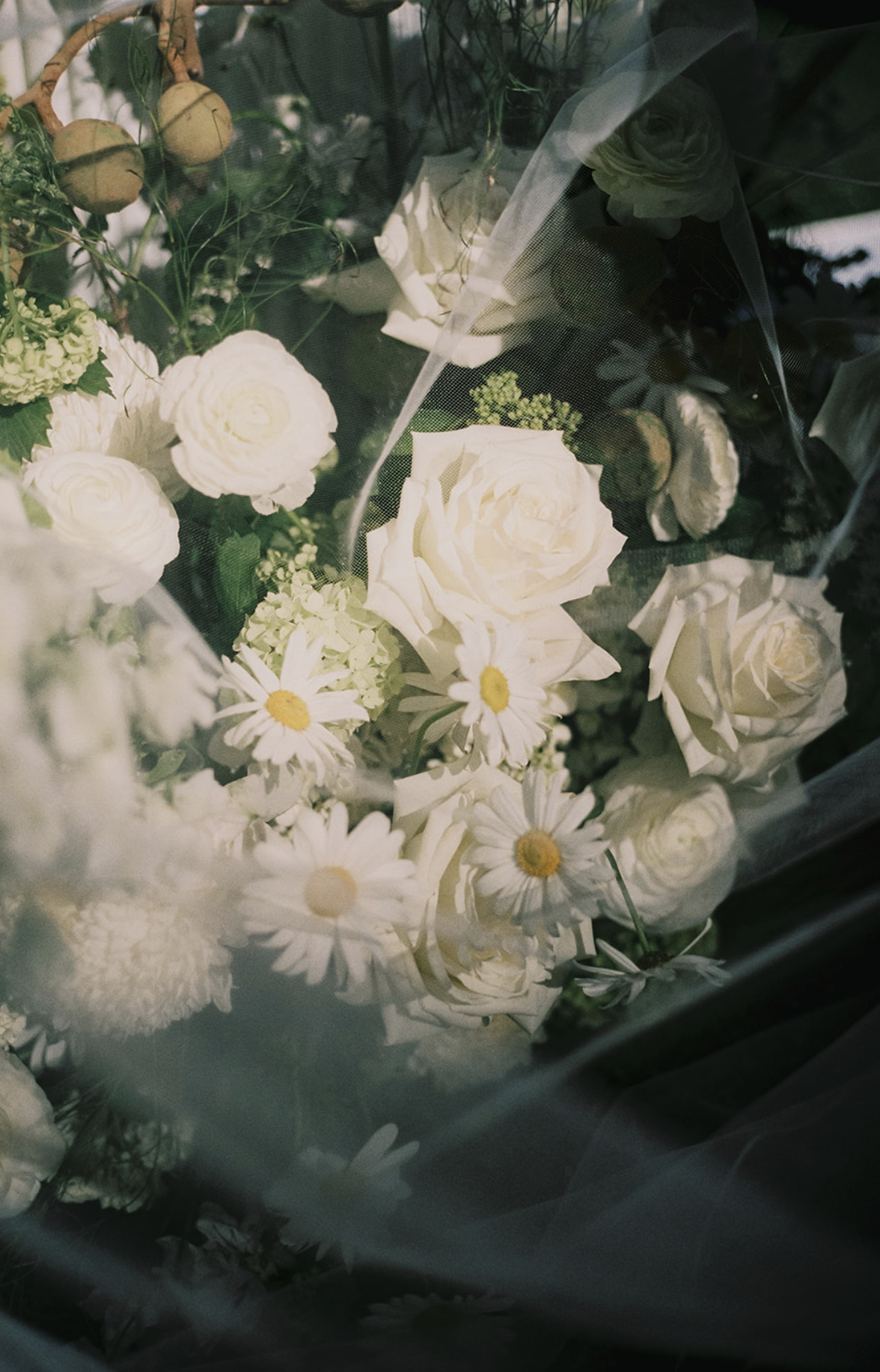 Screenshot 2026-01-03 at 6.07.39 pm.png