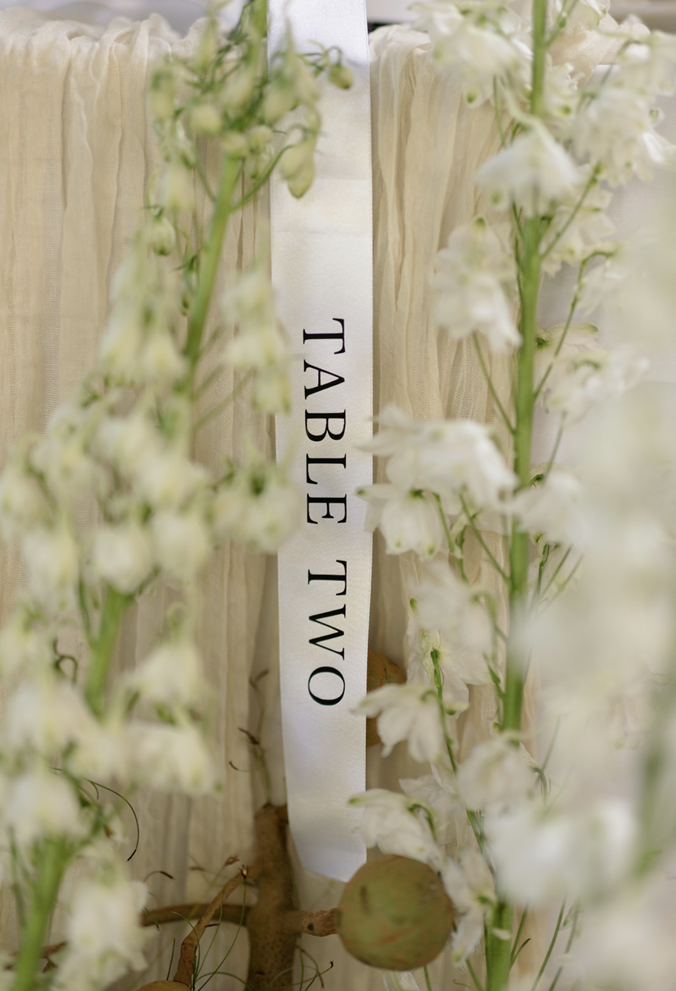 Screenshot 2026-01-03 at 6.02.48 pm.png