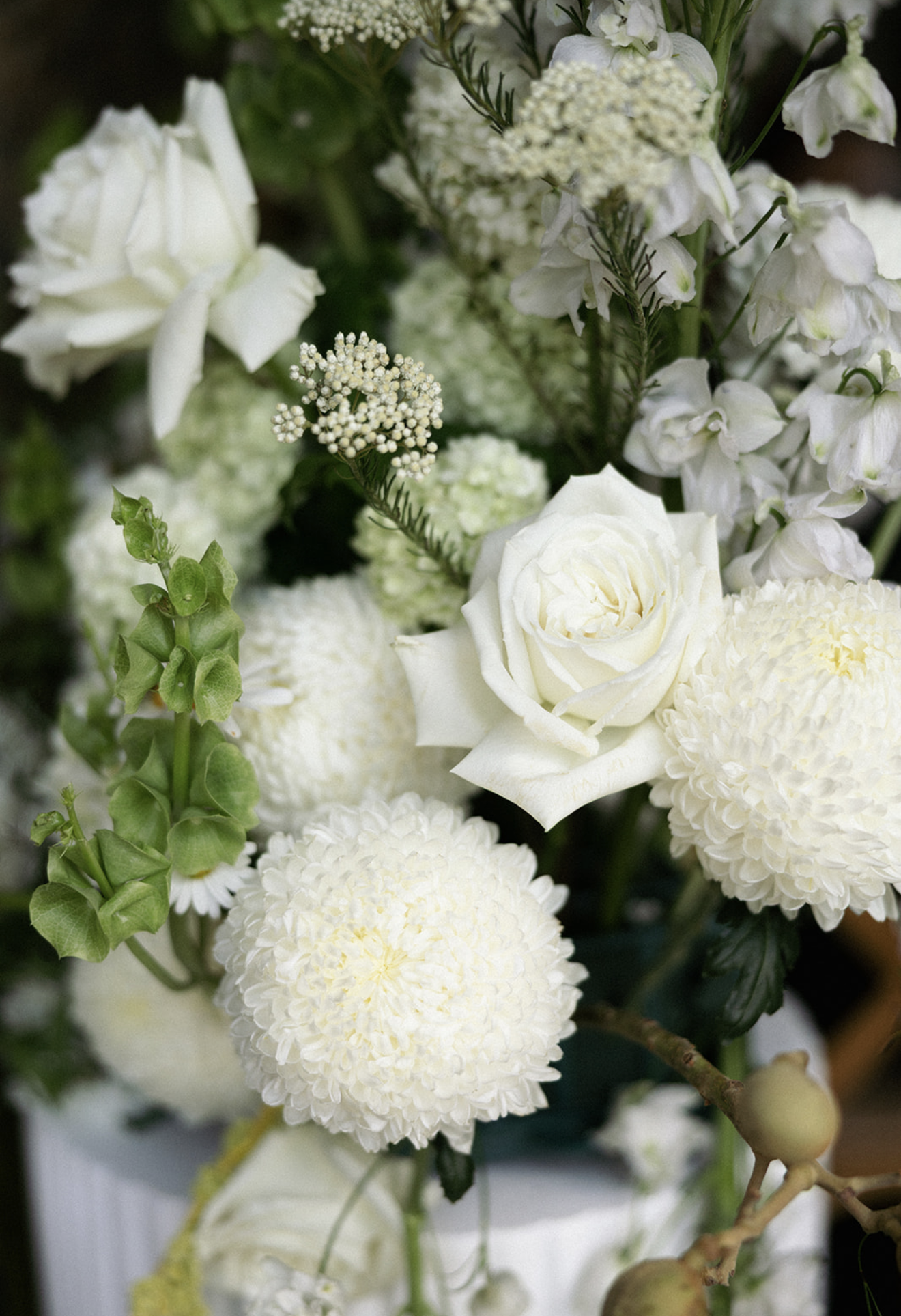 Screenshot 2026-01-03 at 6.05.04 pm.png