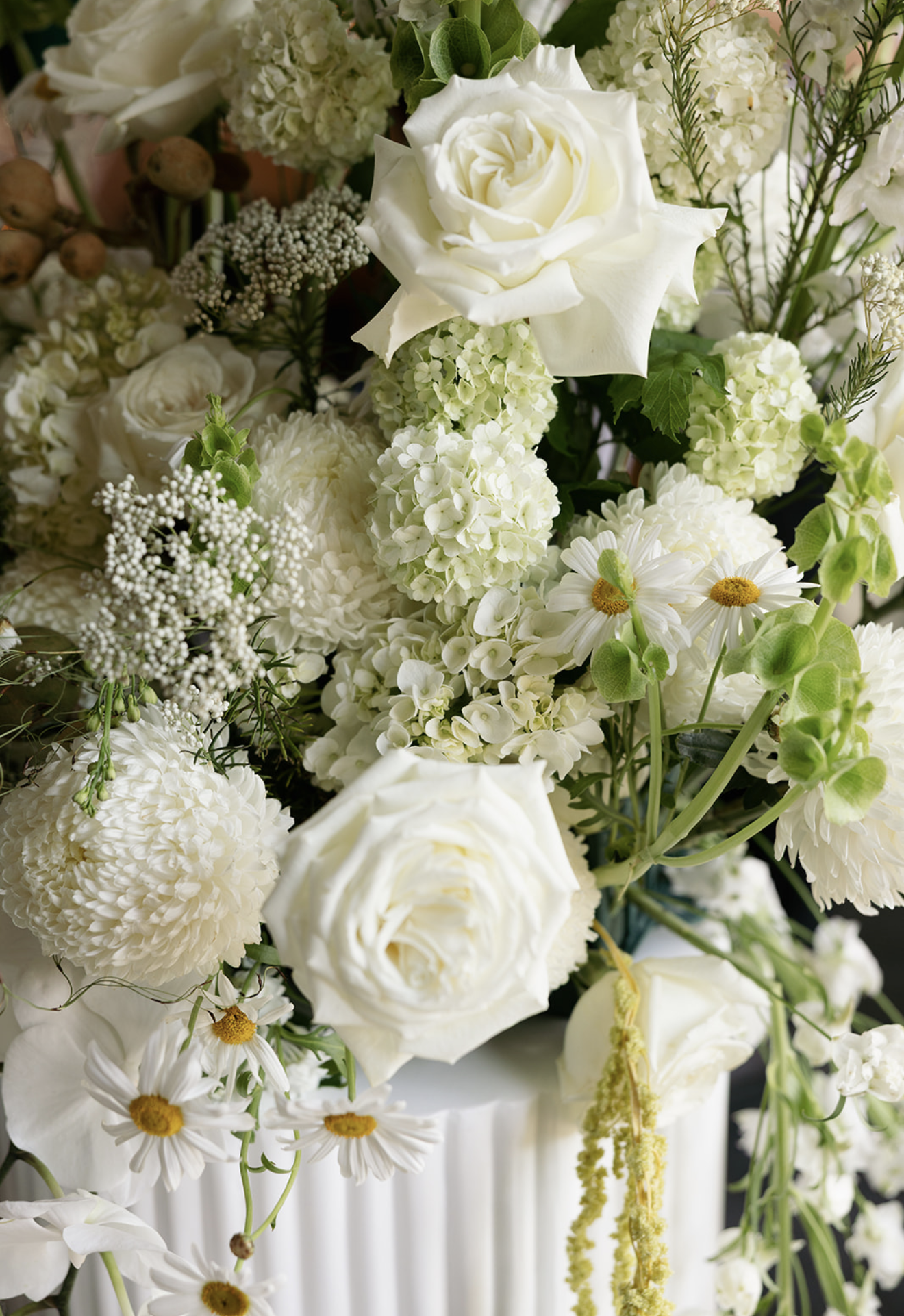 Screenshot 2026-01-03 at 6.04.36 pm.png