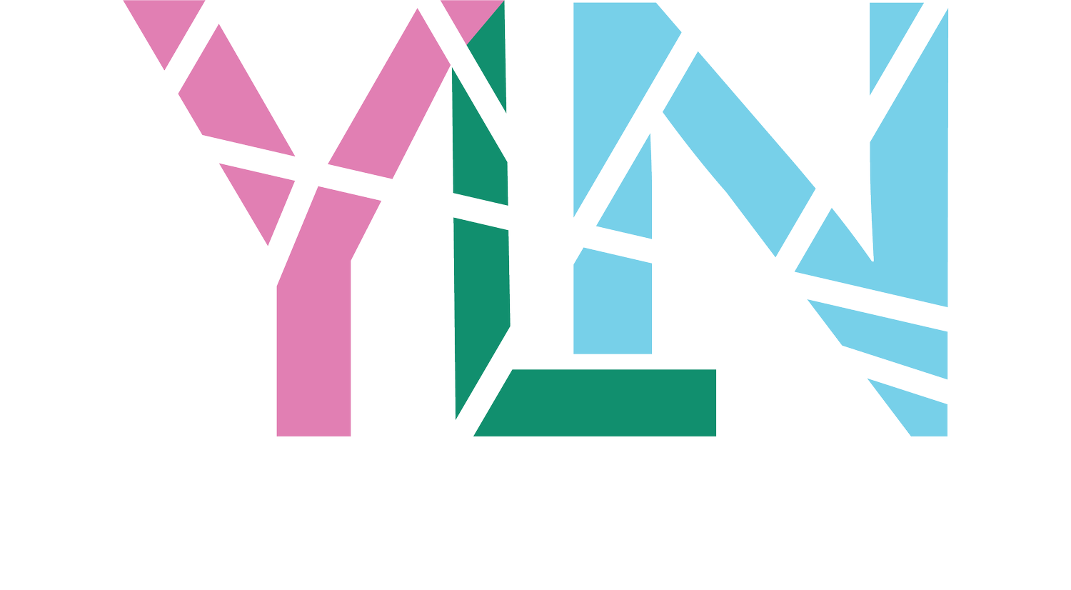 Young Leaders Network