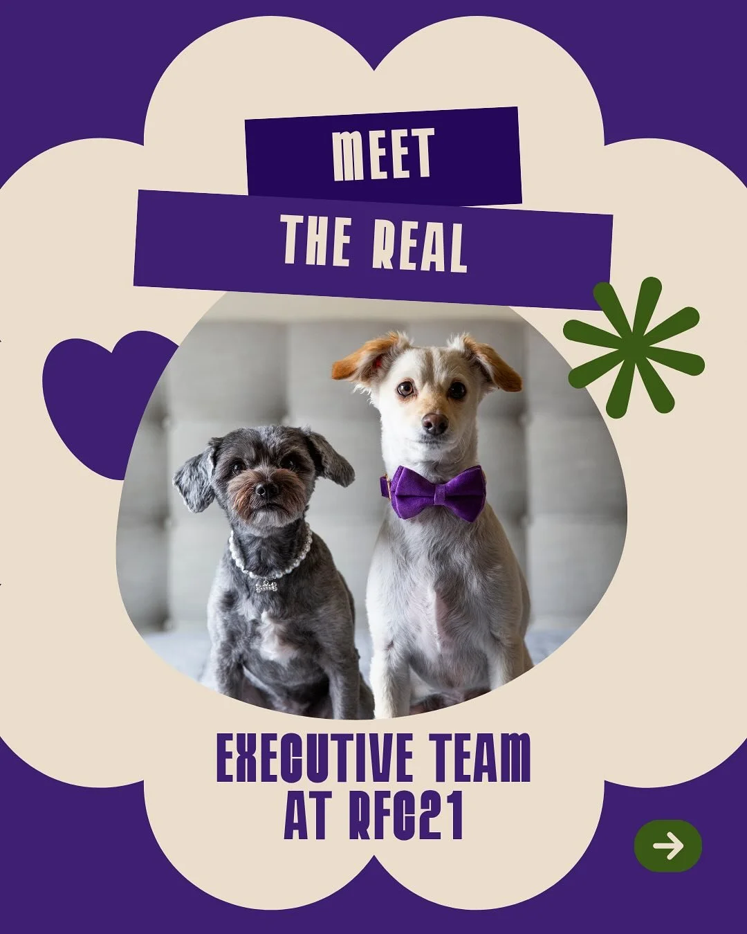 🤎 At rfc21, we believe leadership comes in all forms&mdash;two-legged and  four.

We run a tight ship&hellip; with occasional snack breaks and belly rubs.

🐾 Desilu is our Director of Security. Elegant. Unbothered. Unshakable. She enforces the &ldq