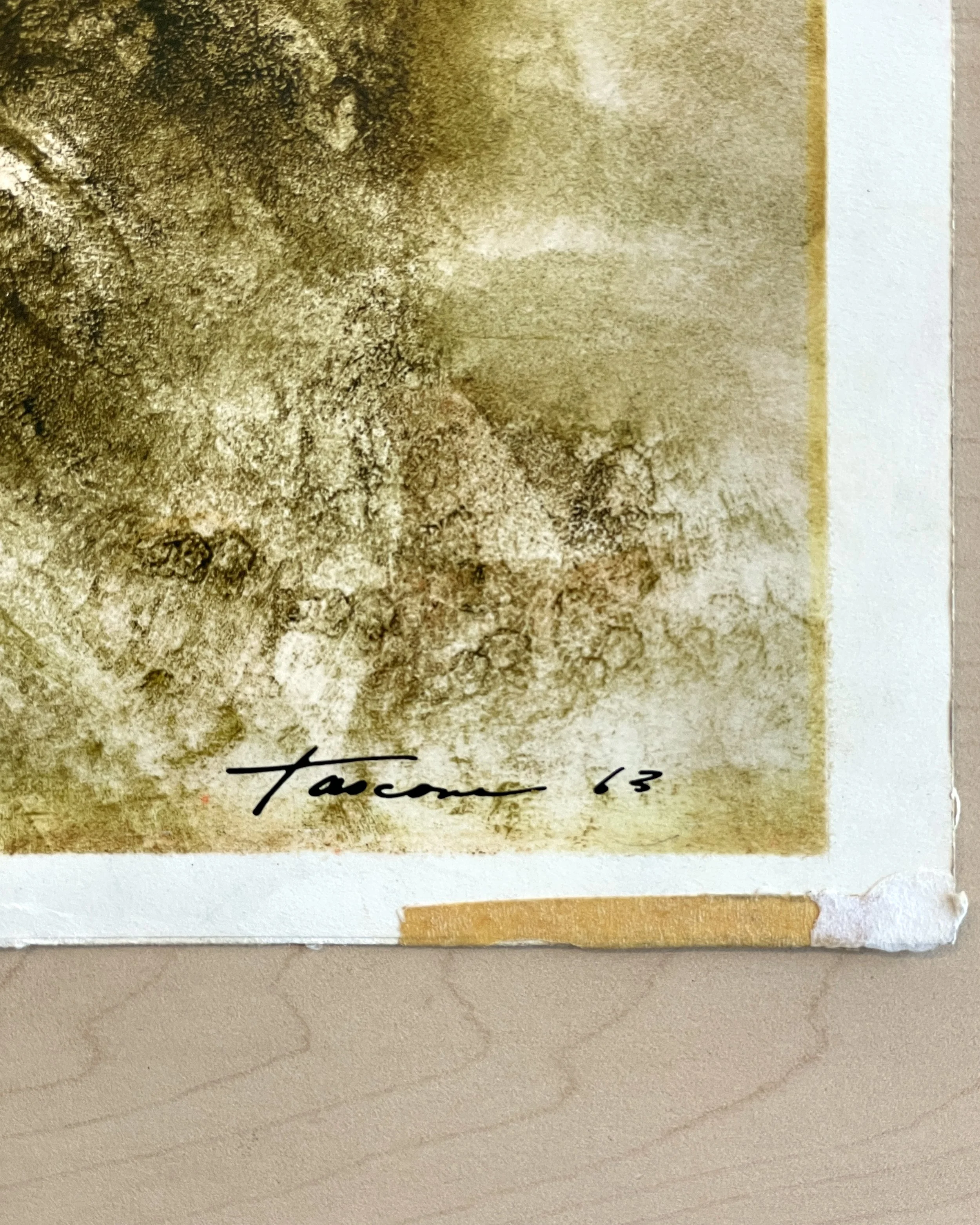tascona-watercolour01.jpg
