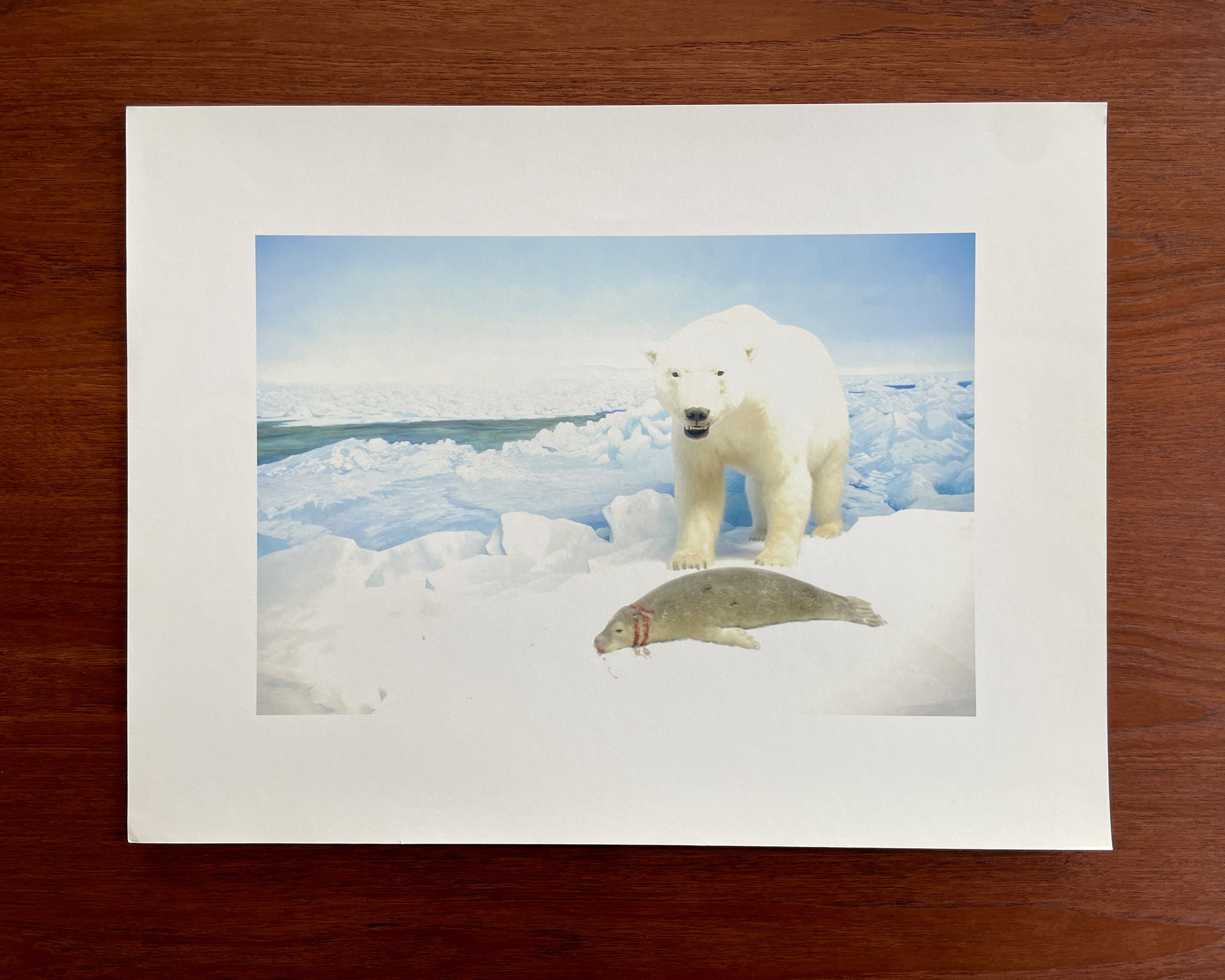 heshka-polar05.jpg