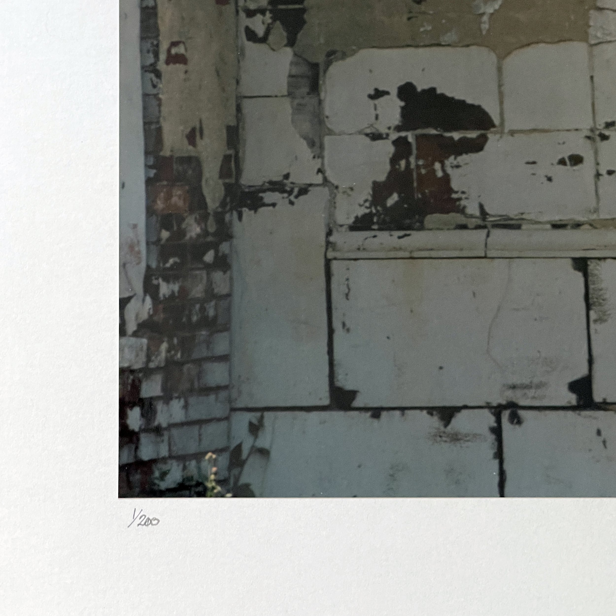 peeling-brock-wall04.jpg