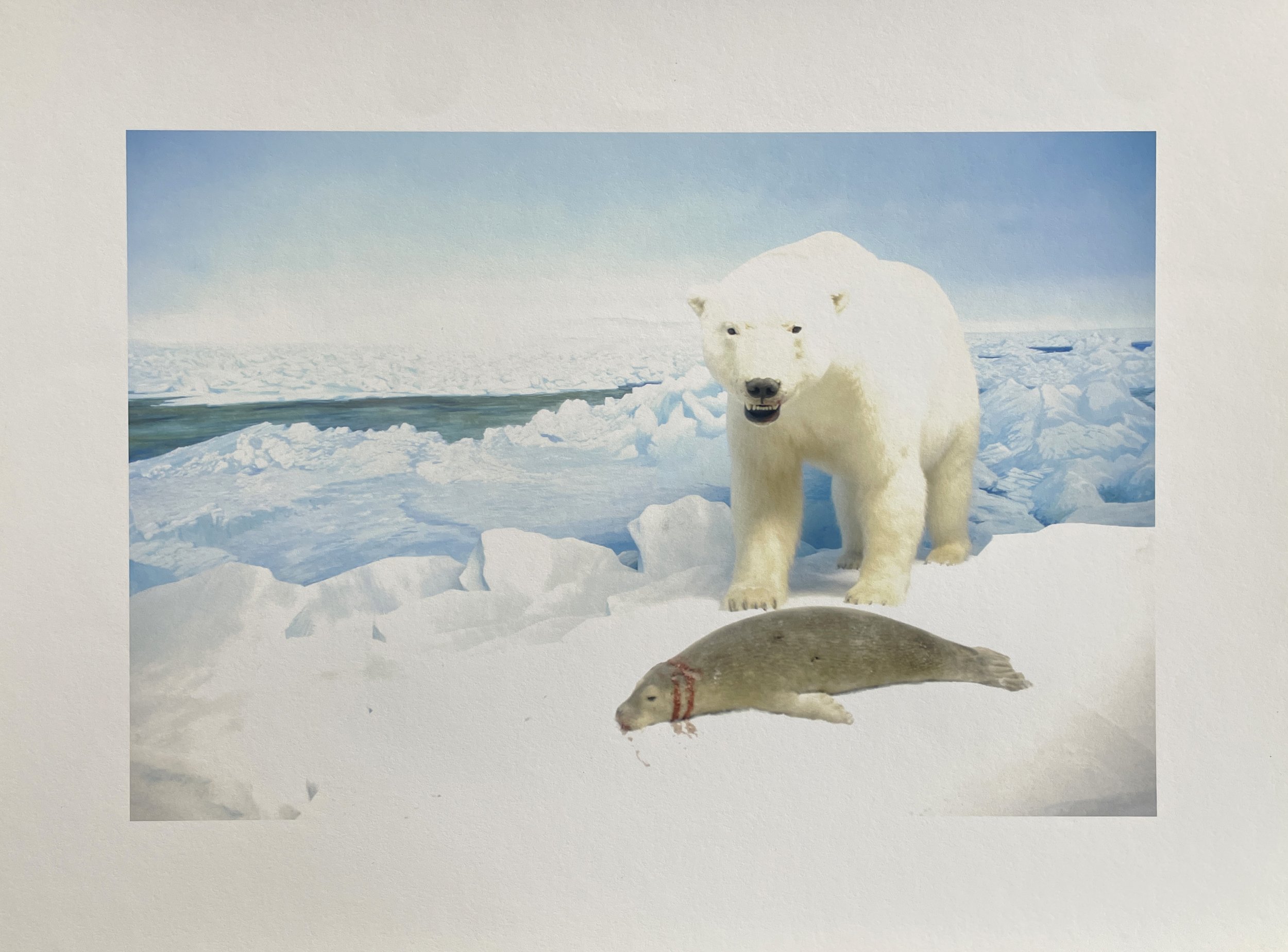 heshka-polar04.jpg
