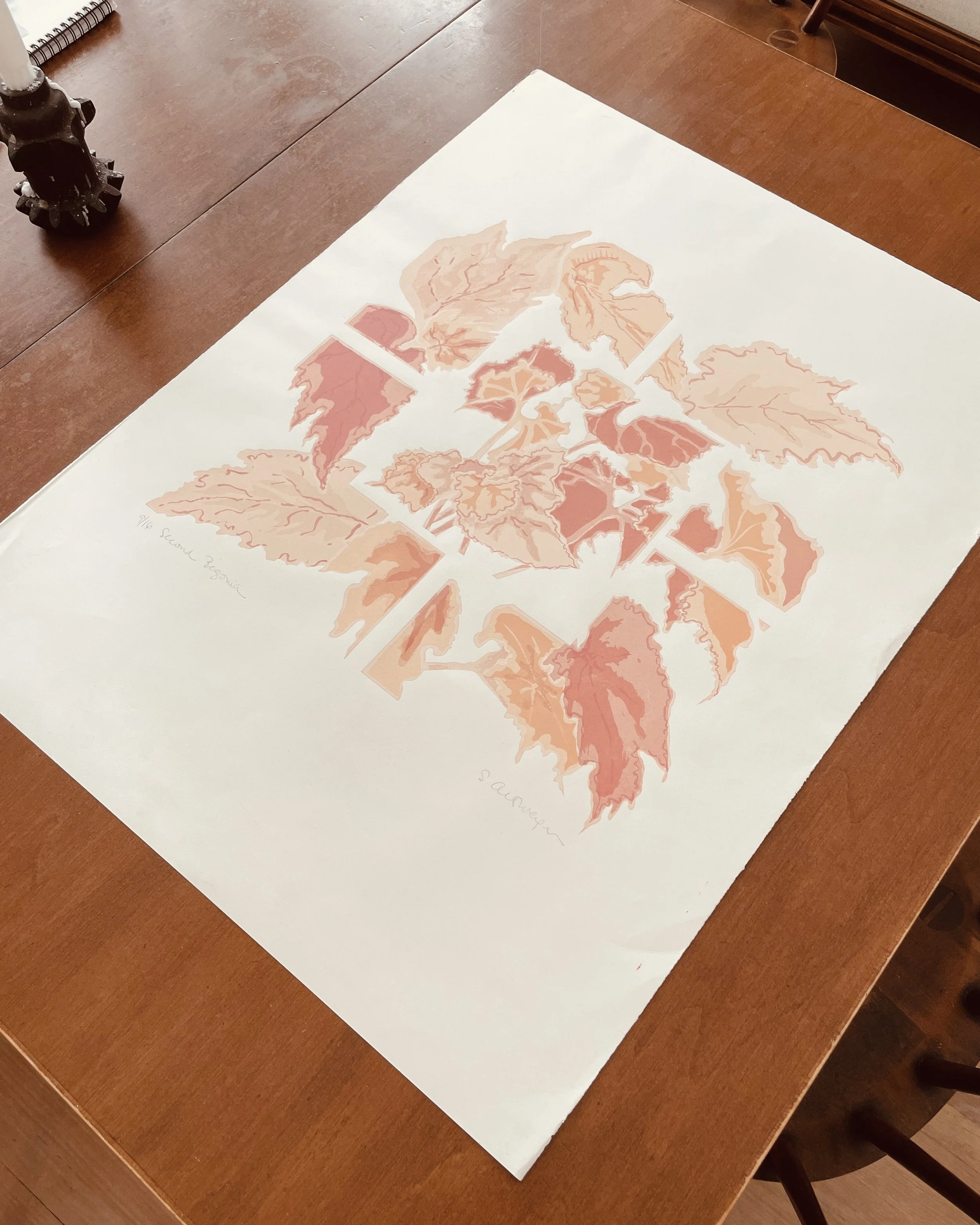 begonia01.jpg