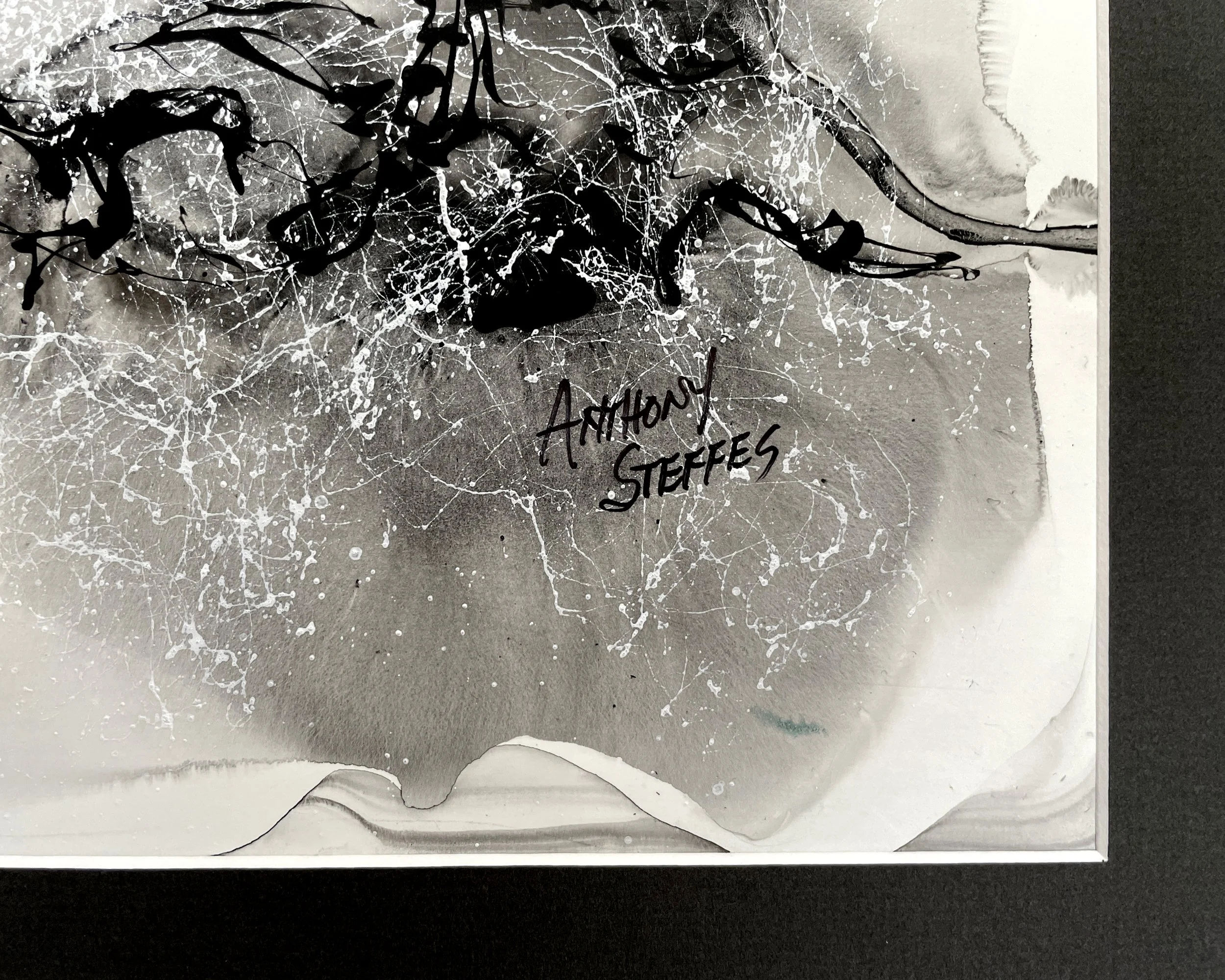 AnthonySteffes-02.jpg