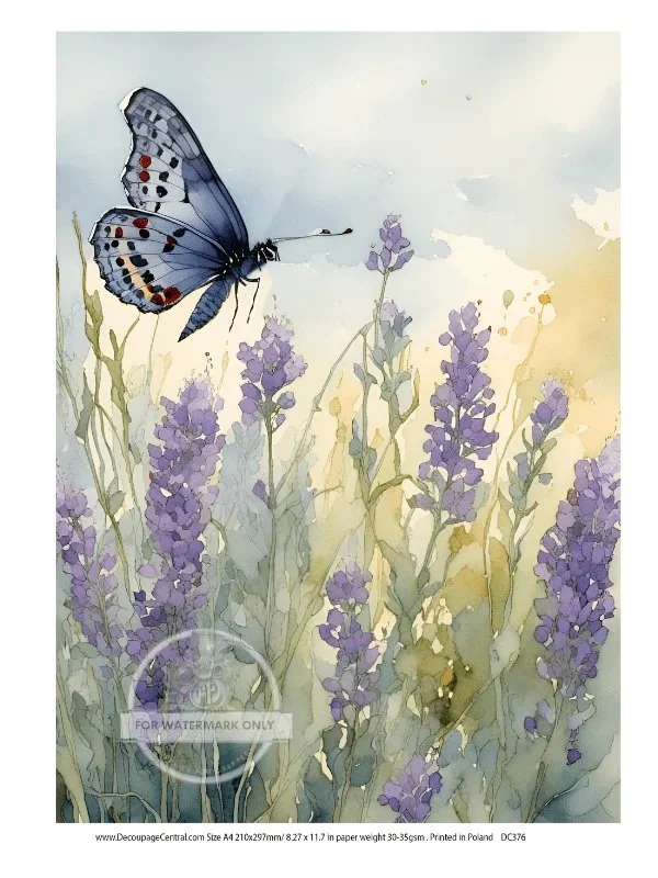 lavender butterfly.jpg