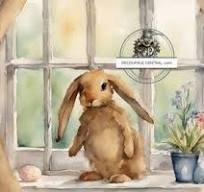 bunny in the window.jpg