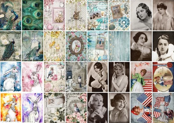 DQRP_0586_Spring_Minis__99578 (1).jpg