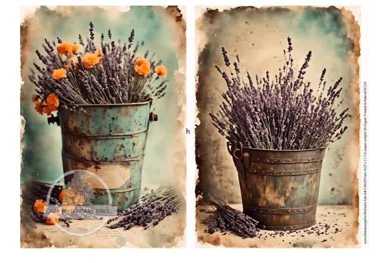 the old bucket lavender.jpg