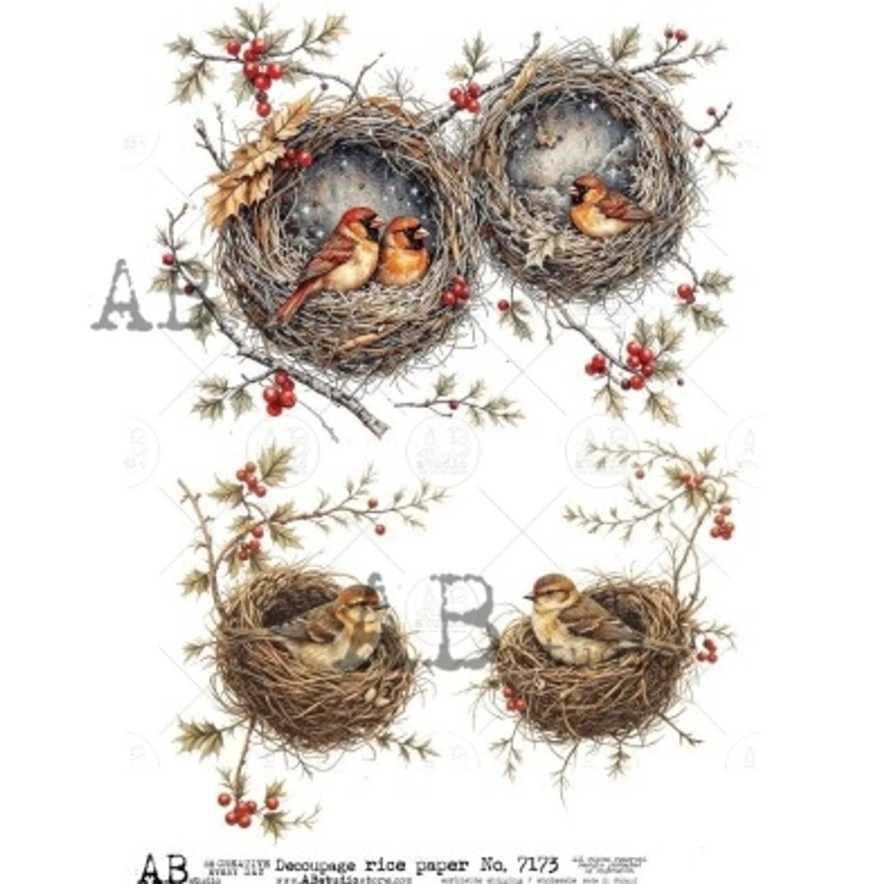 birds in nests with holly.jpg