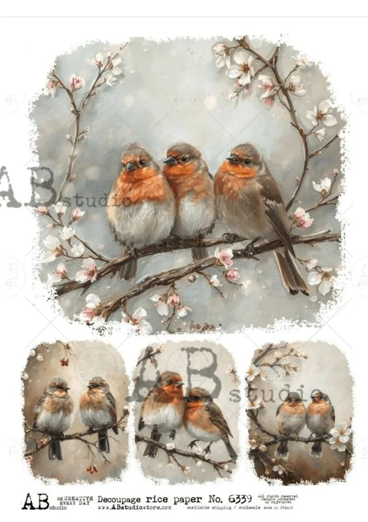 birds on a branch quad.jpg