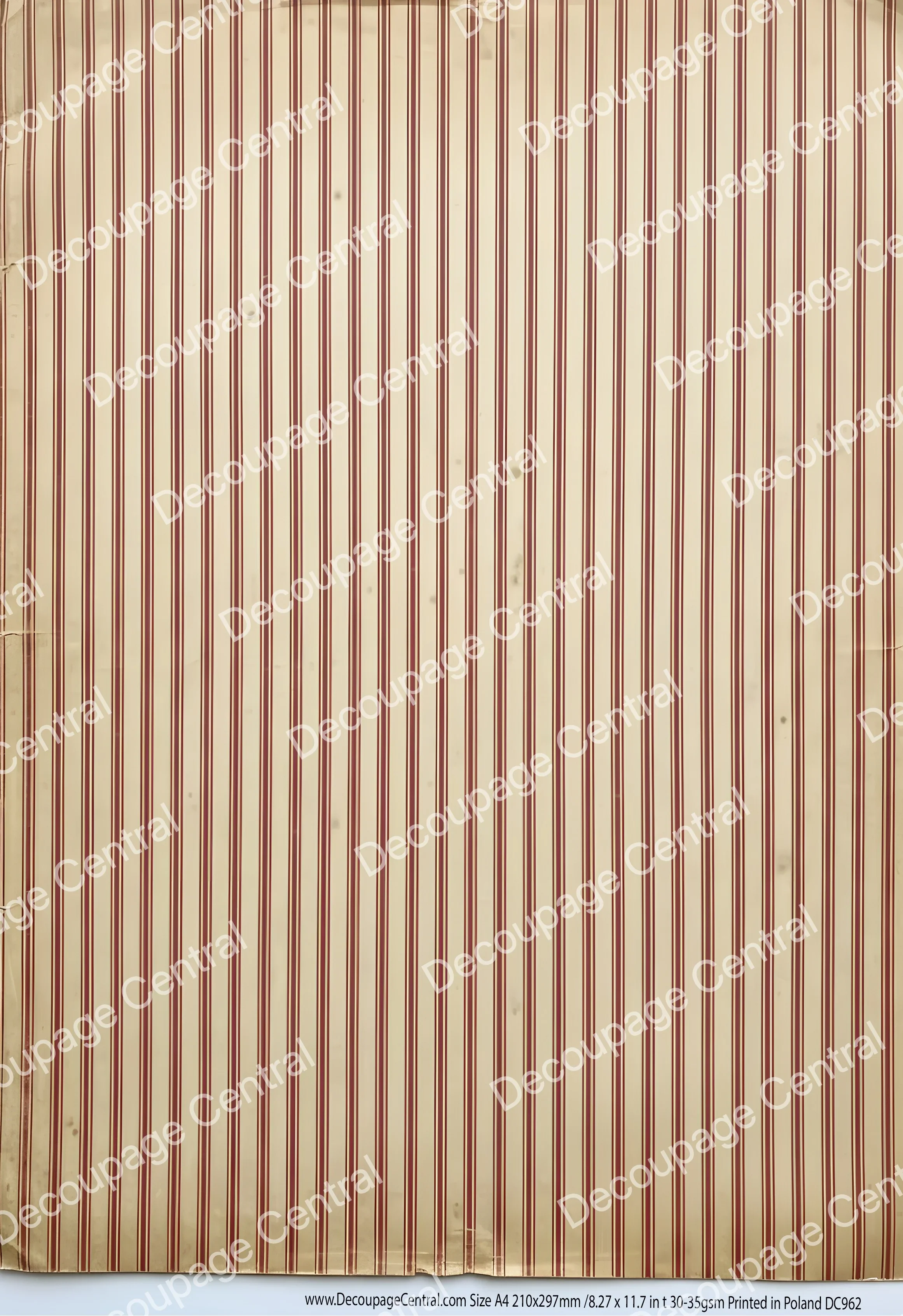 preview_DC962_85133c4c-e788-4c73-b5a8-38e386d9bd66.webp